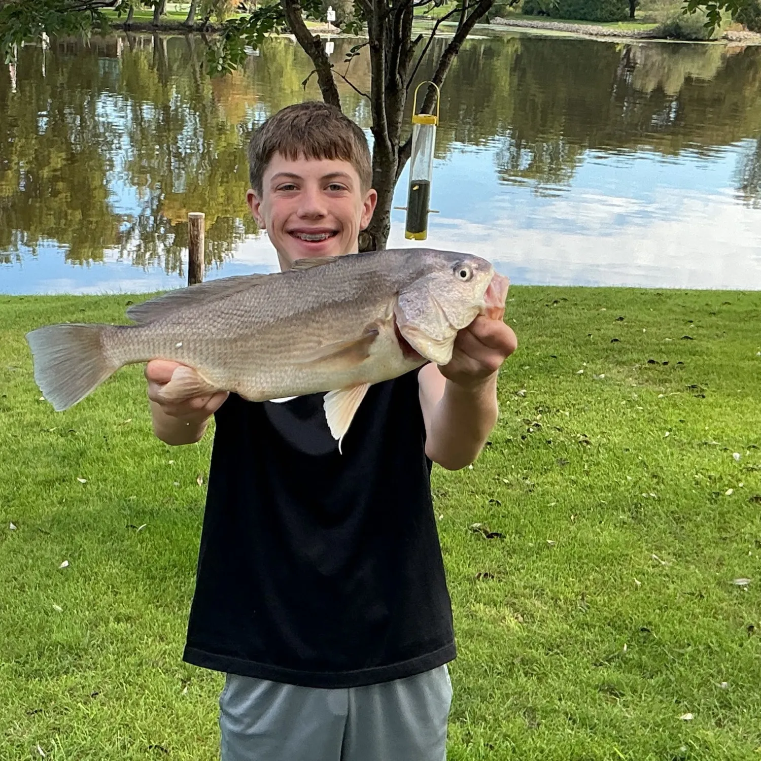 Freshwater drum caught on Fishbrain
