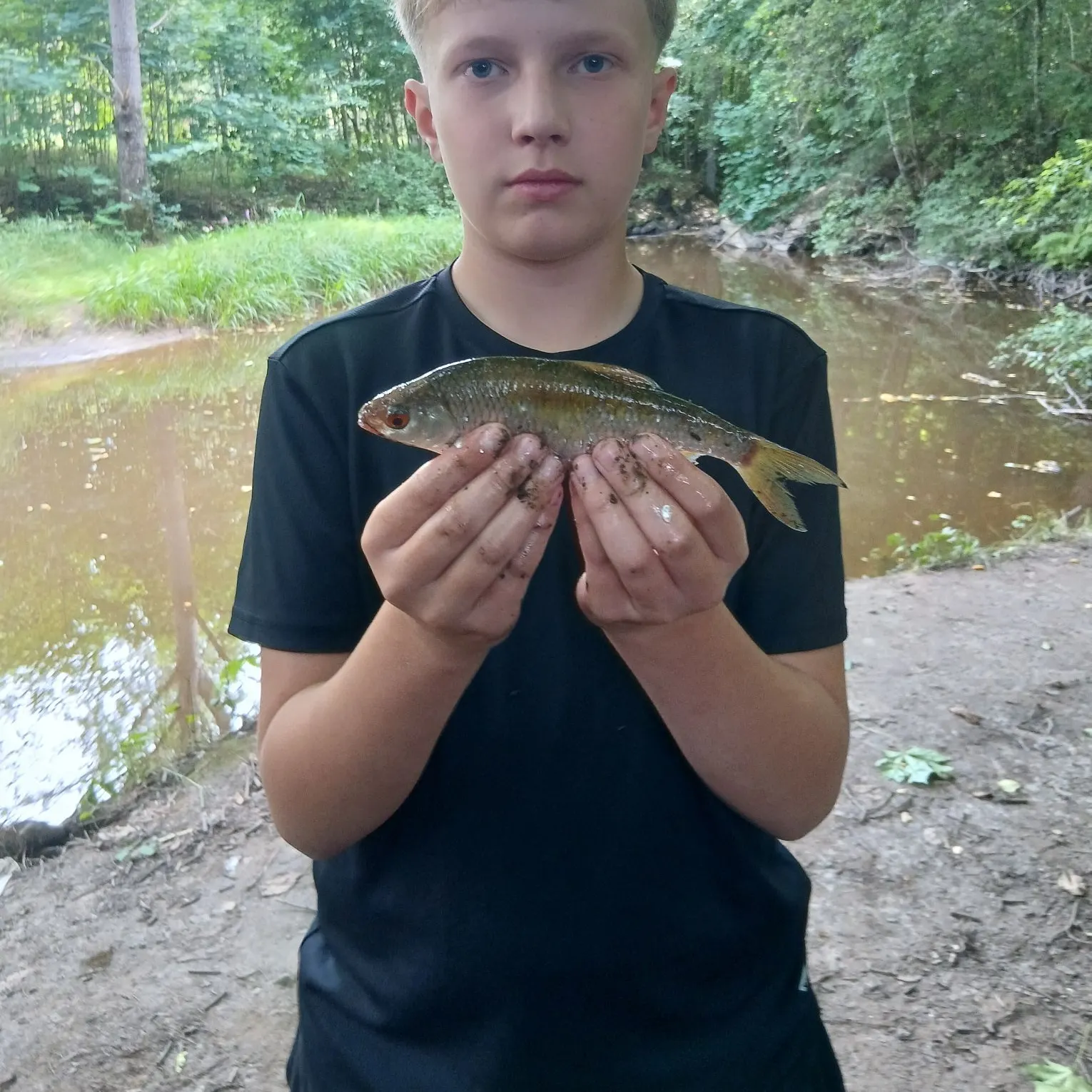 Common bream caught on Fishbrain