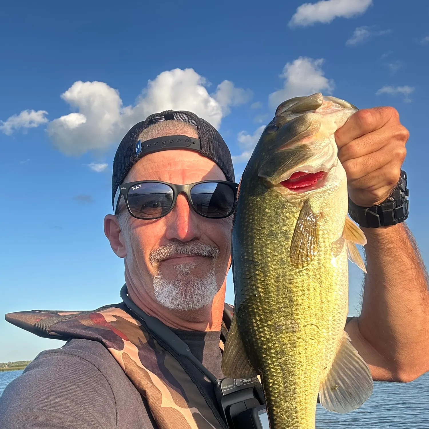 Largemouth bass caught on Fishbrain
