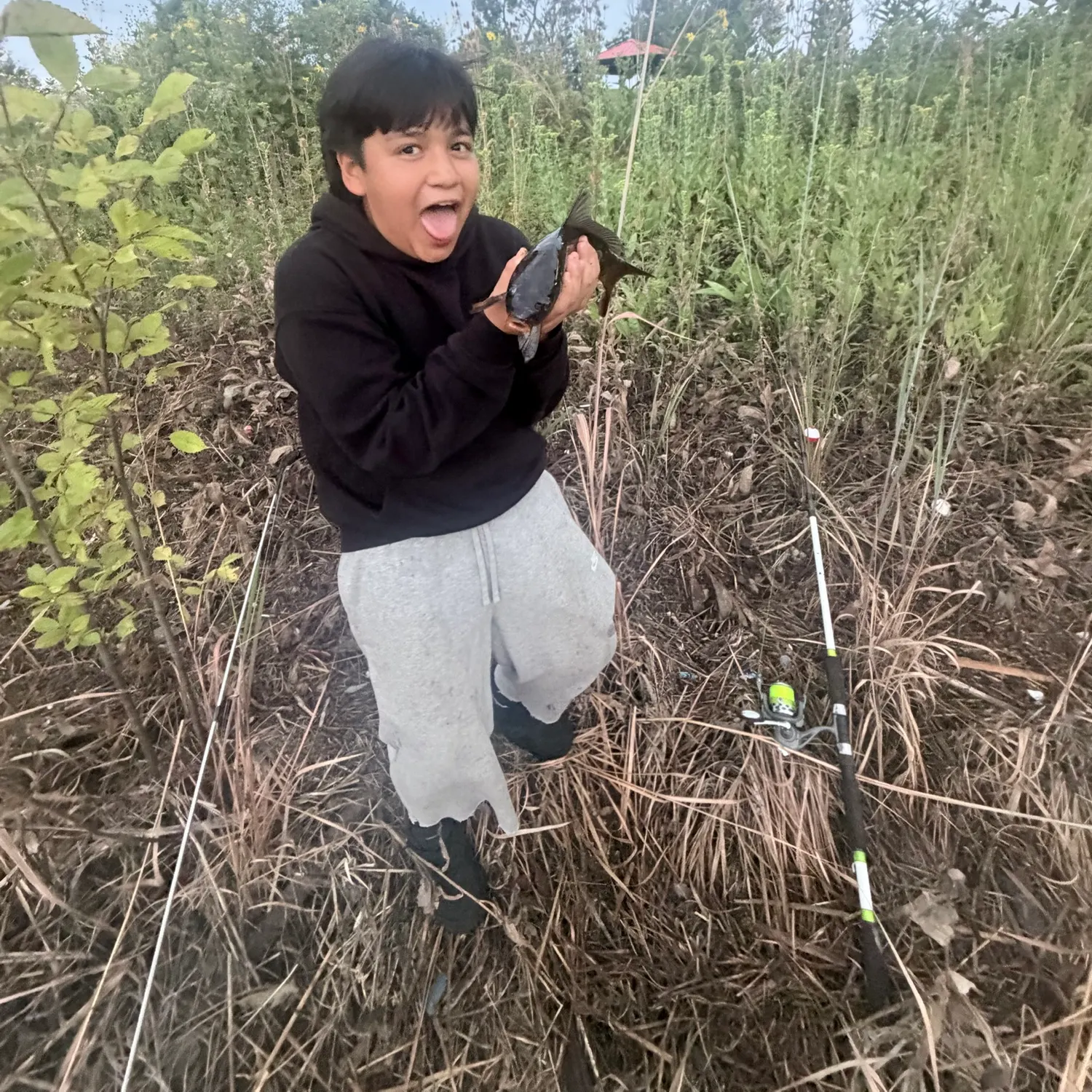 Channel catfish caught on Fishbrain