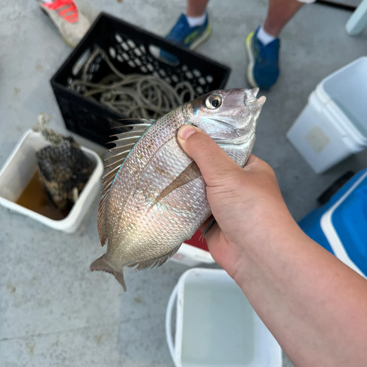 catch