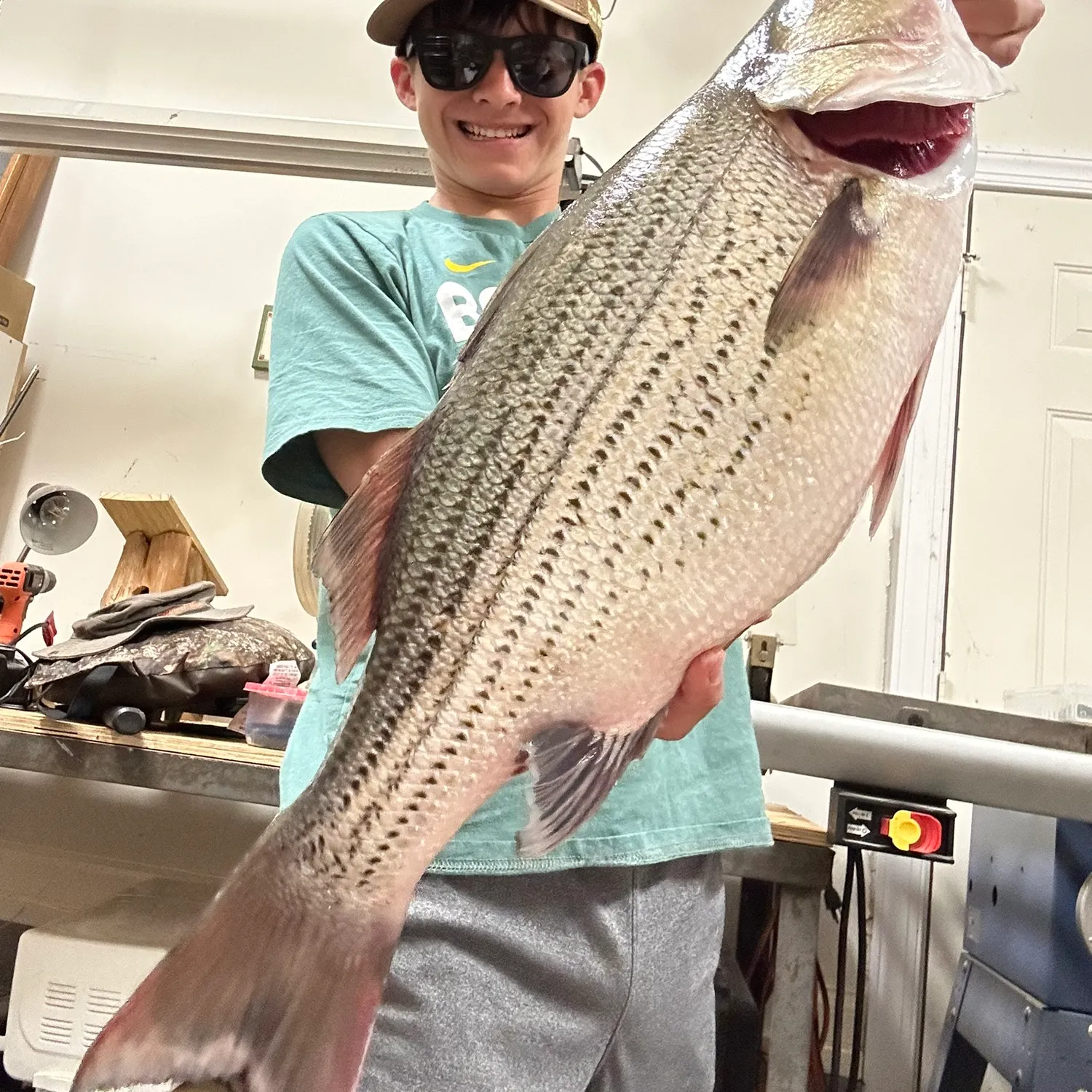 The most recent Hybrid striped bass catches on Fishbrain