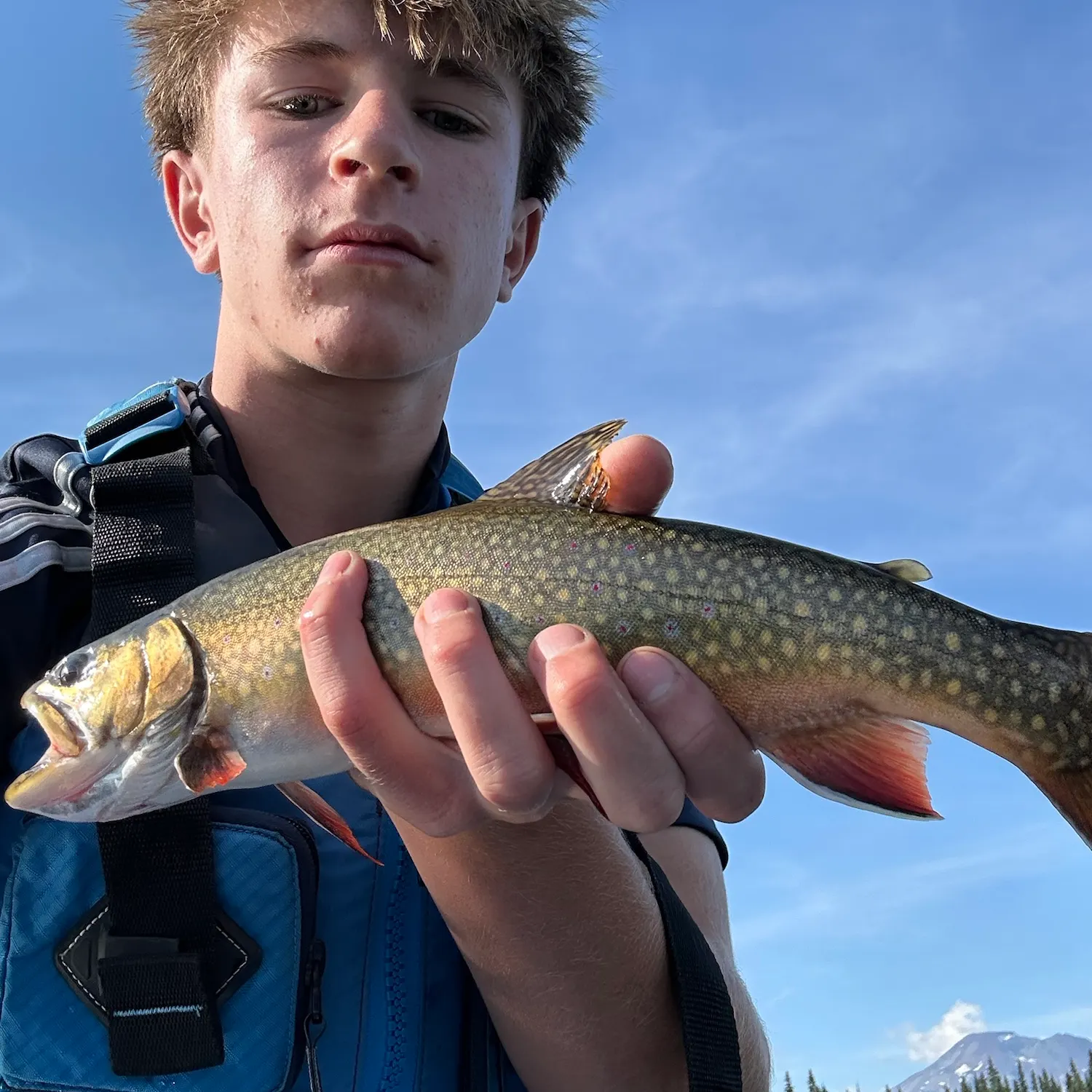 Brook trout caught on Fishbrain