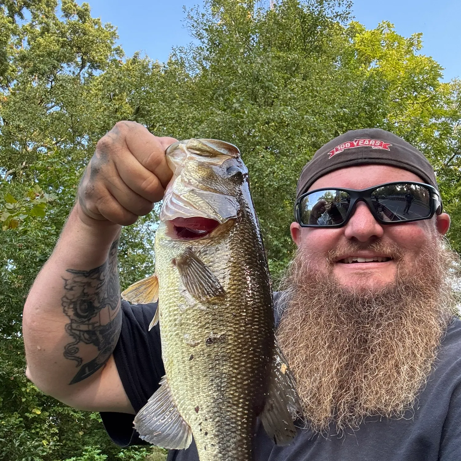 Largemouth bass caught on Fishbrain