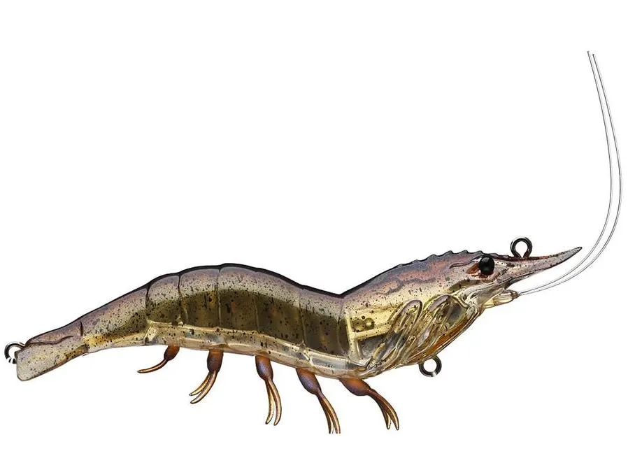 Shrimp Hybrid