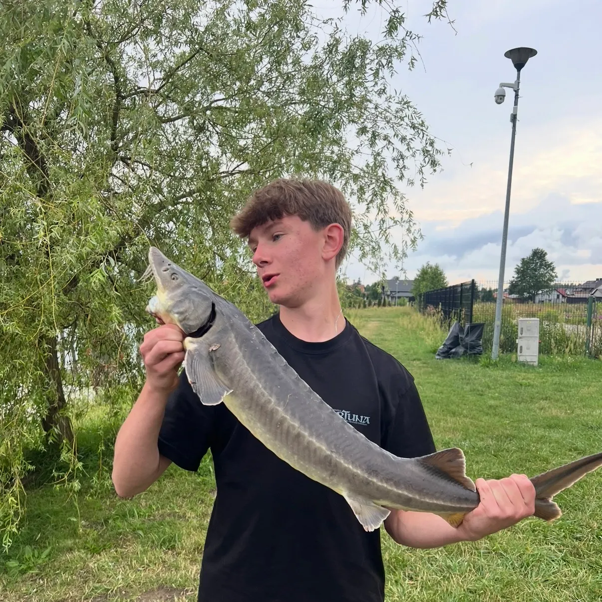 The most recent European sturgeon catches on Fishbrain