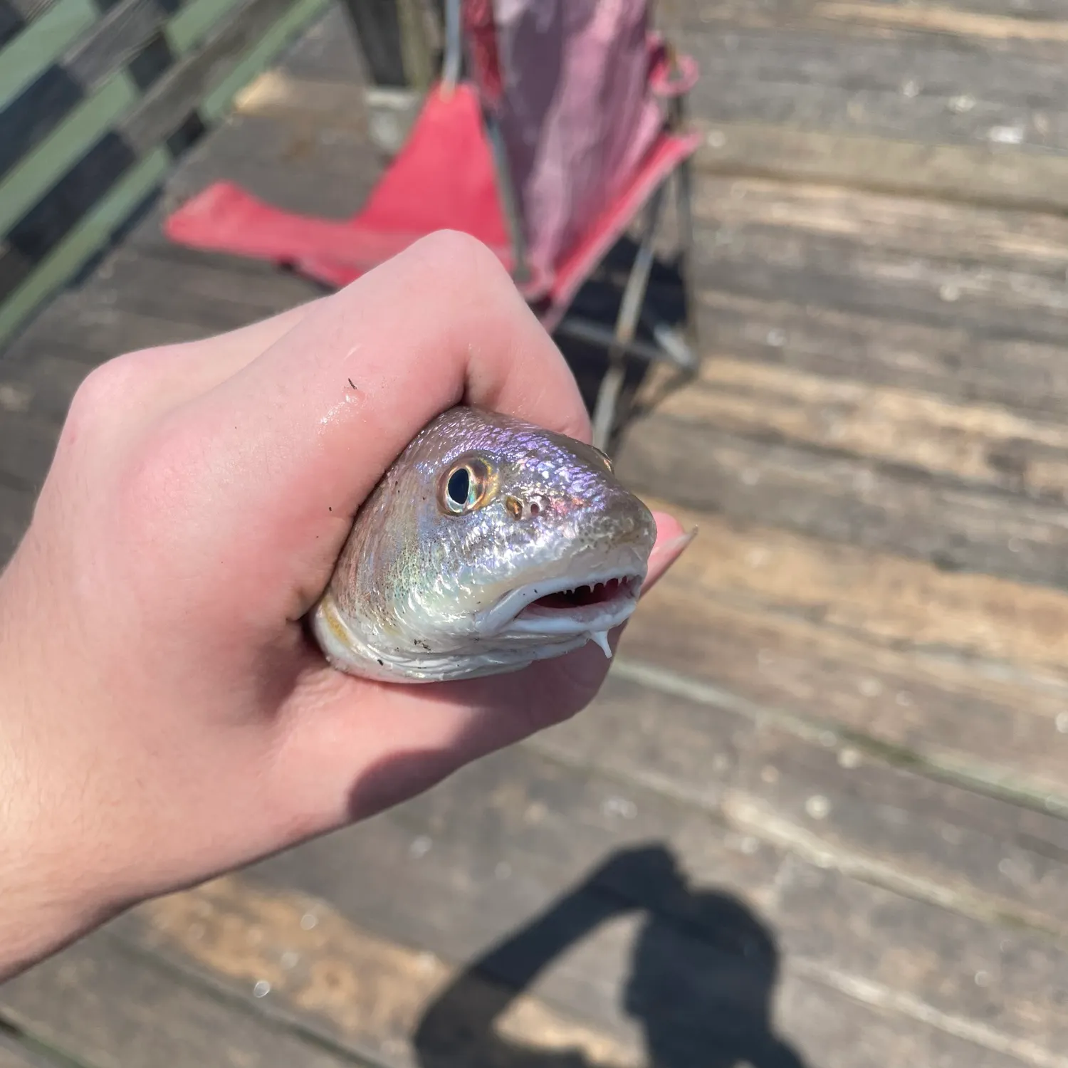 catch
