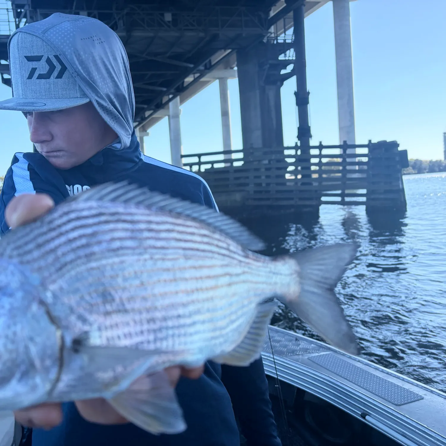 The most recent Goldlined seabream catches on Fishbrain