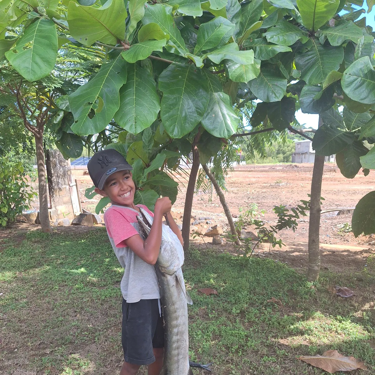 The most recent Great barracuda catches on Fishbrain
