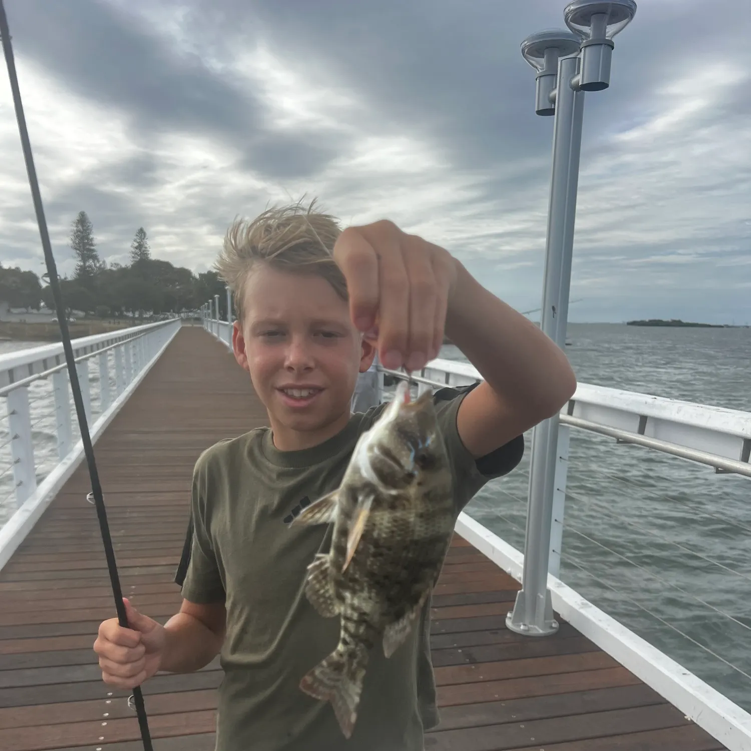 The most recent Painted sweetlips catches on Fishbrain