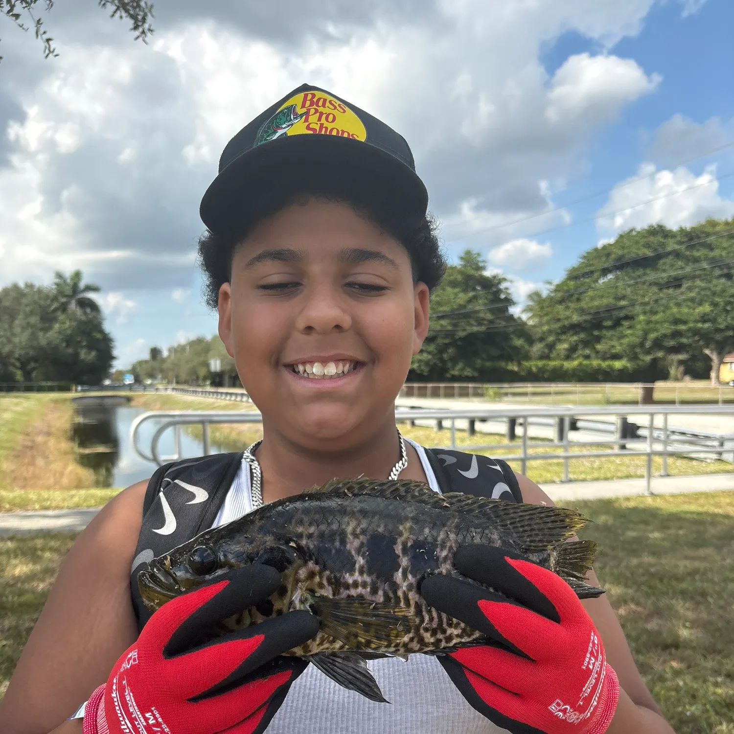 The most recent Thinface cichlid catches on Fishbrain