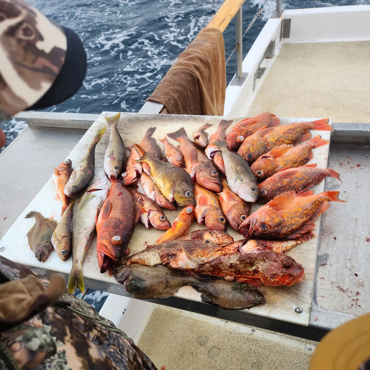 The most recent Redstripe rockfish catches on Fishbrain
