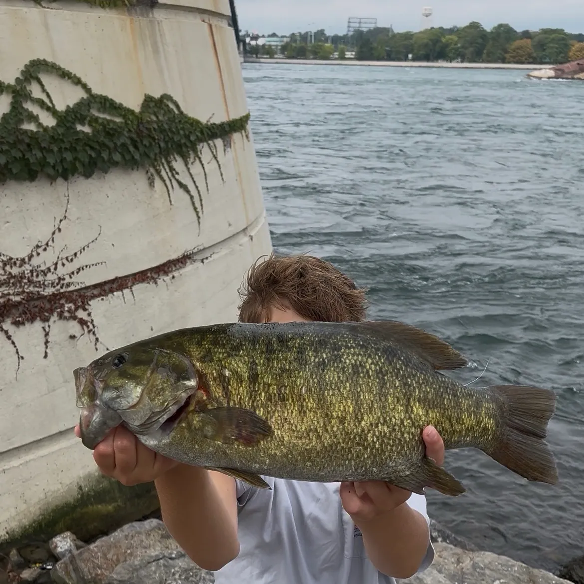 Smallmouth bass caught on Fishbrain