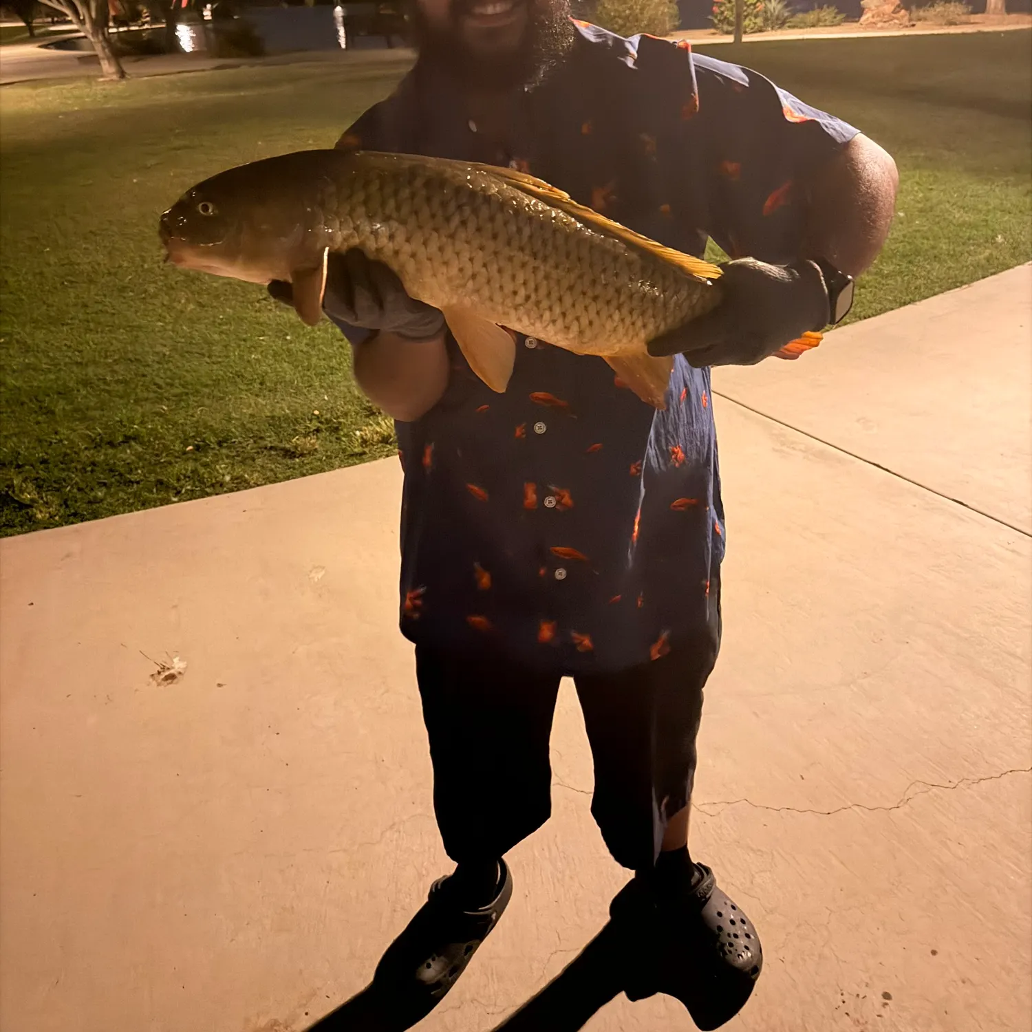 Grass carp caught on Fishbrain