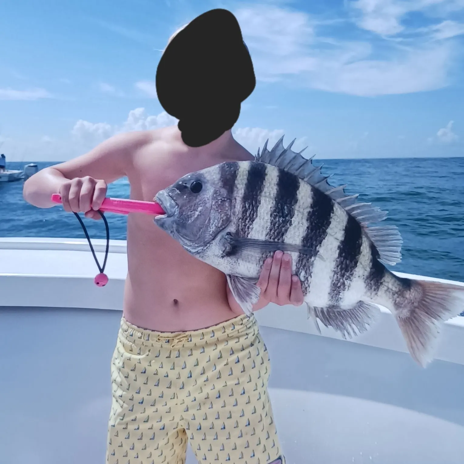 The most recent Sheepshead catches on Fishbrain