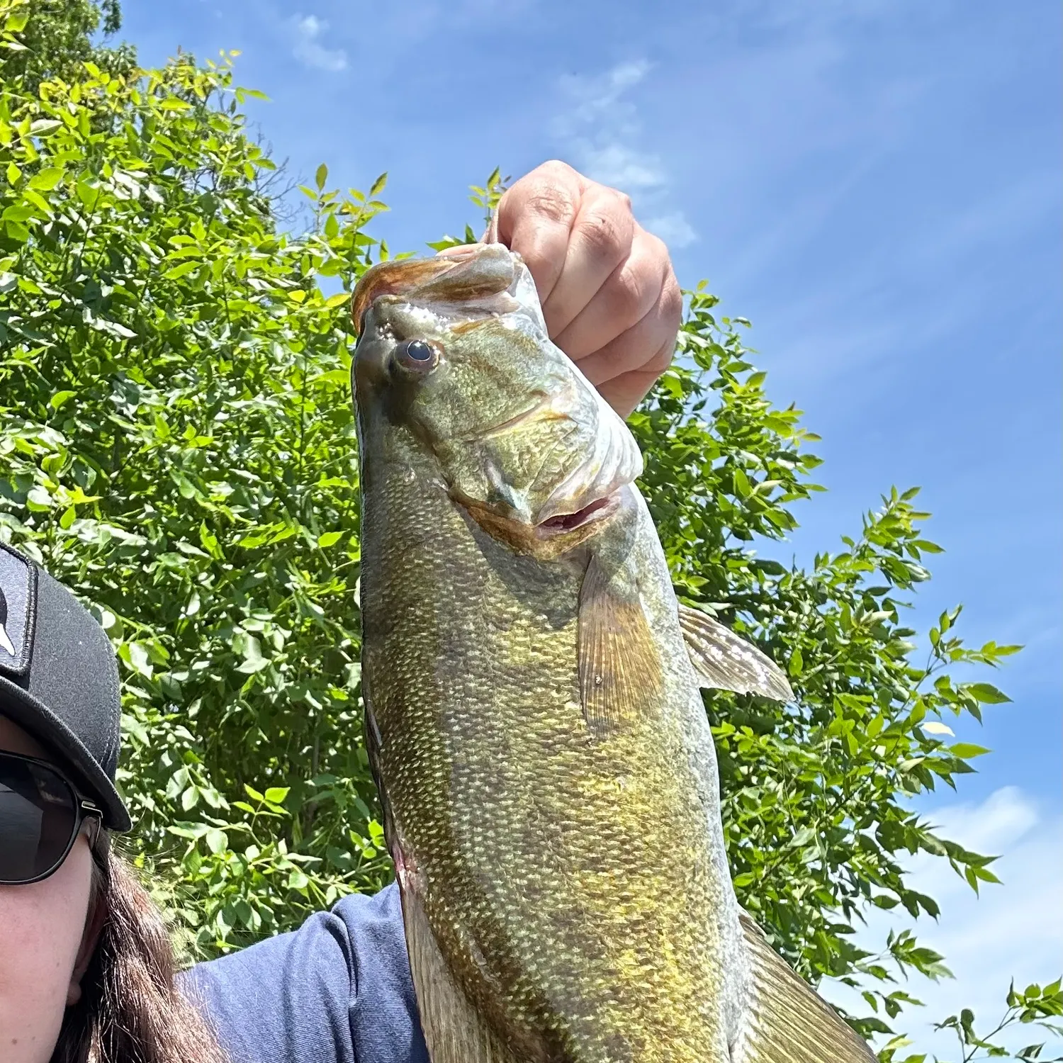Smallmouth bass caught on Fishbrain