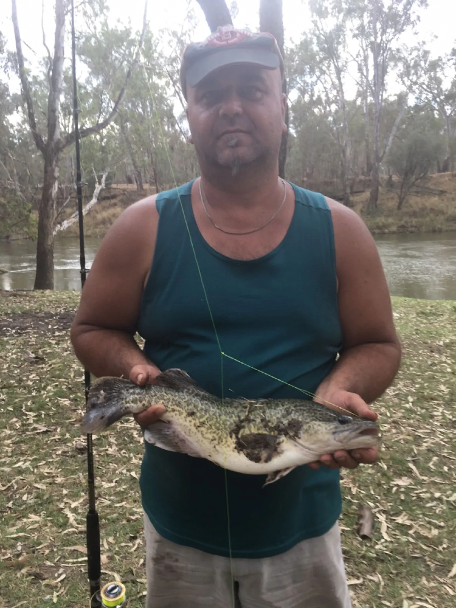 Post image from tziday5018