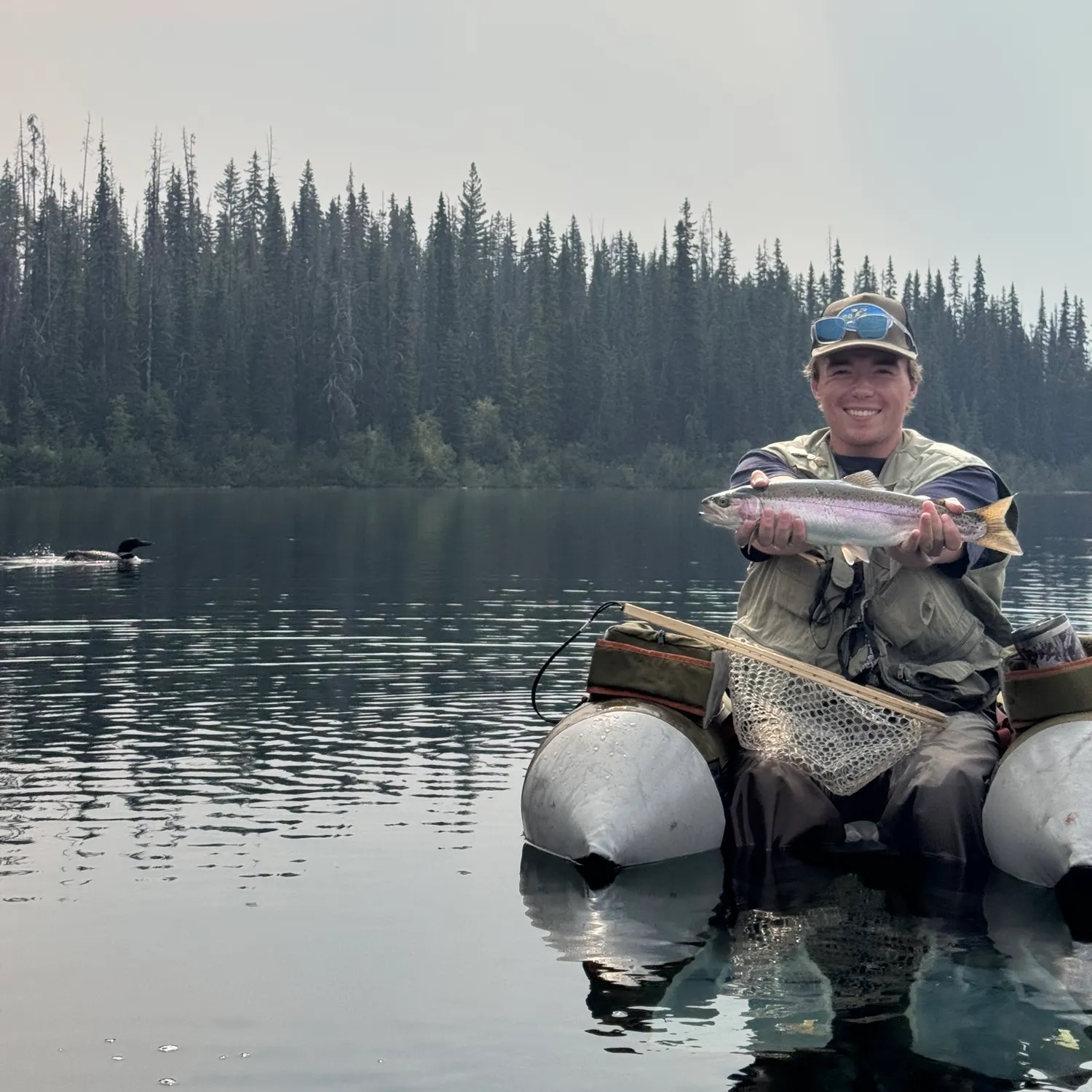 Rainbow trout caught on Fishbrain