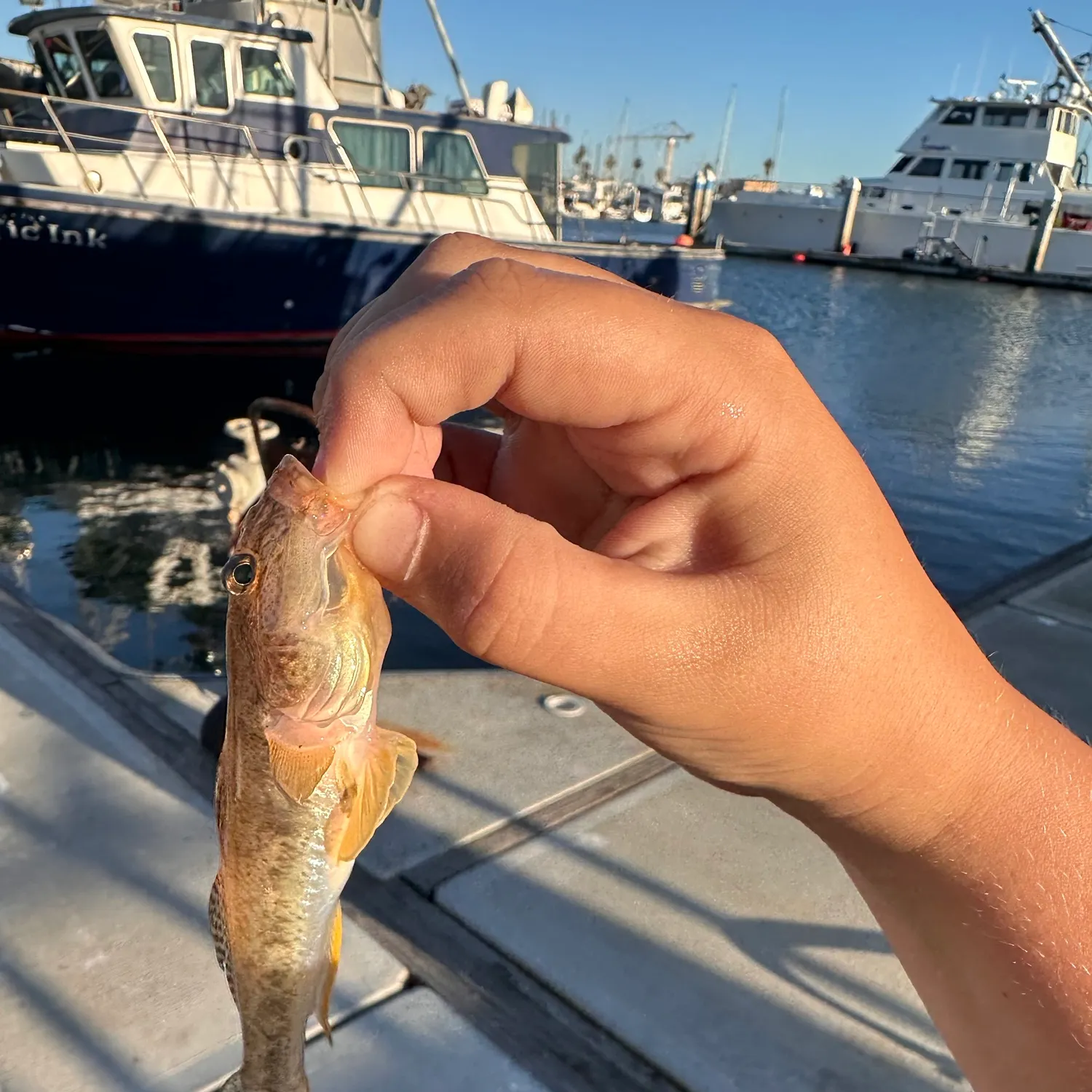 catch