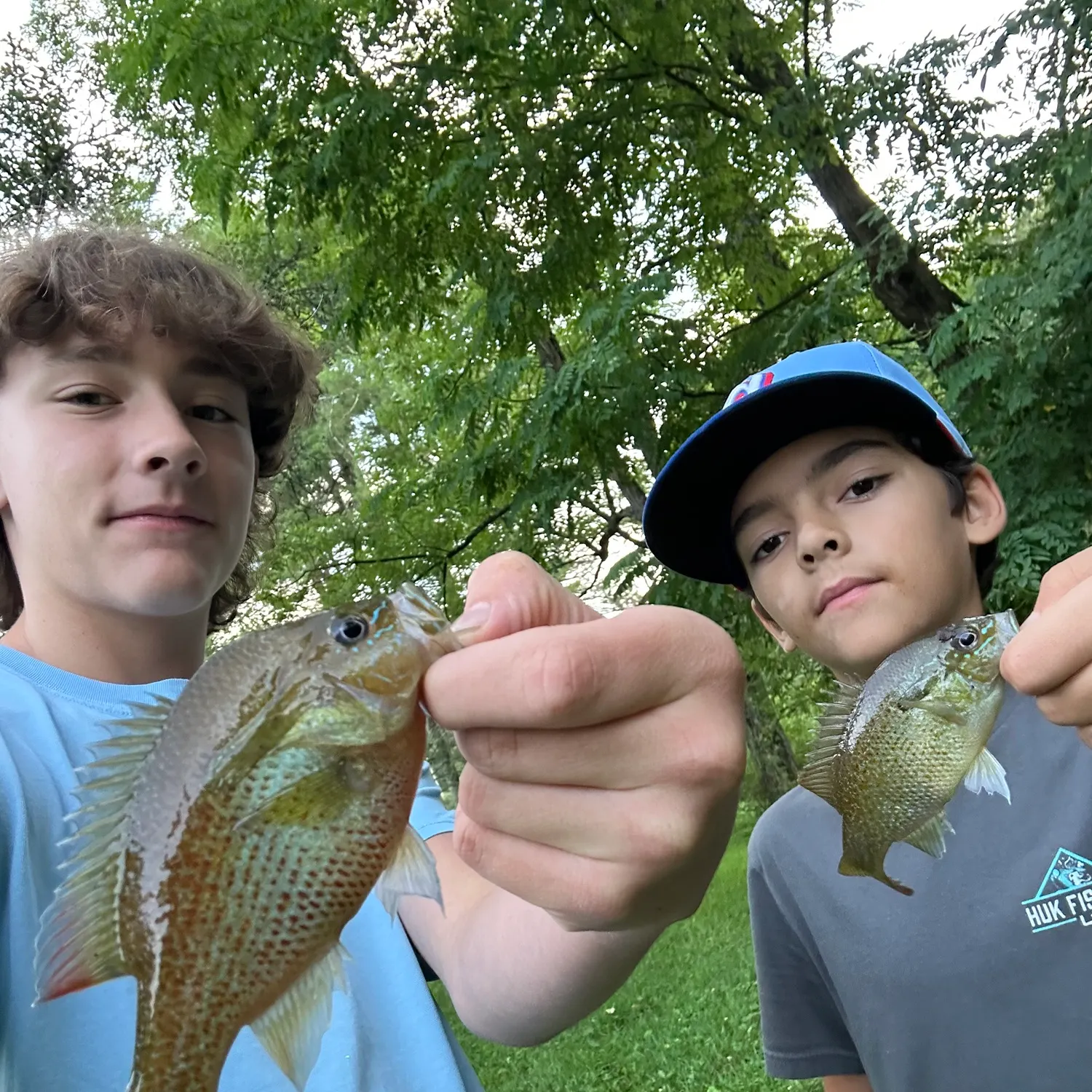 Redbreast sunfish caught on Fishbrain