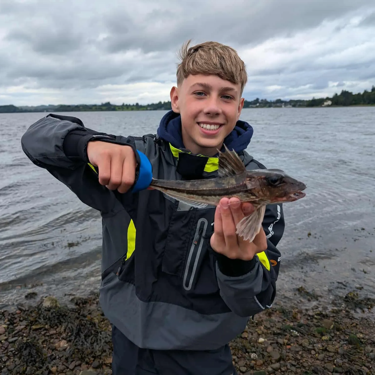 The most recent Tub gurnard catches on Fishbrain