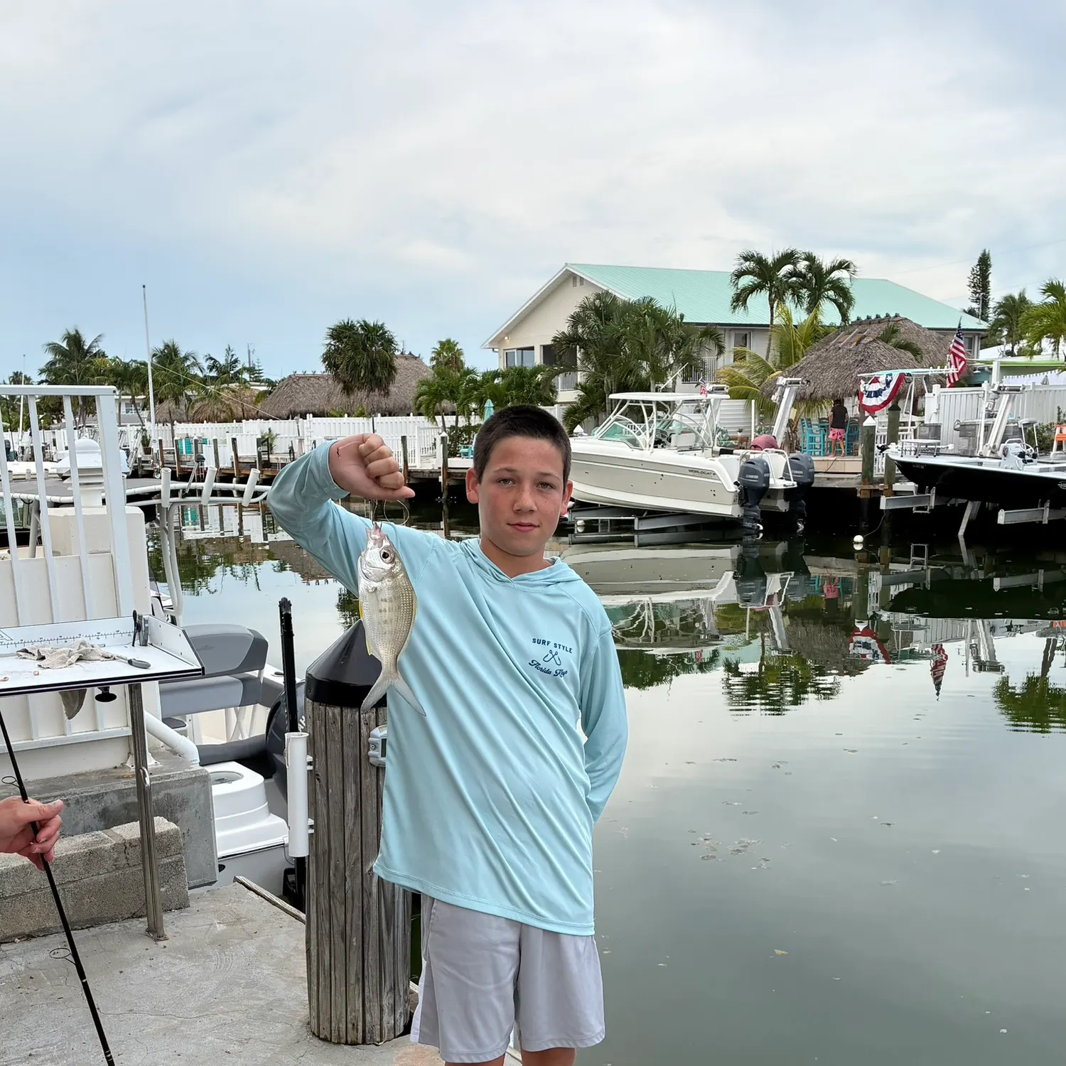 The most recent Jackass morwong catches on Fishbrain