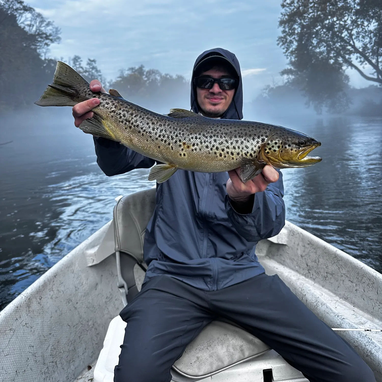 Brown trout caught on Fishbrain
