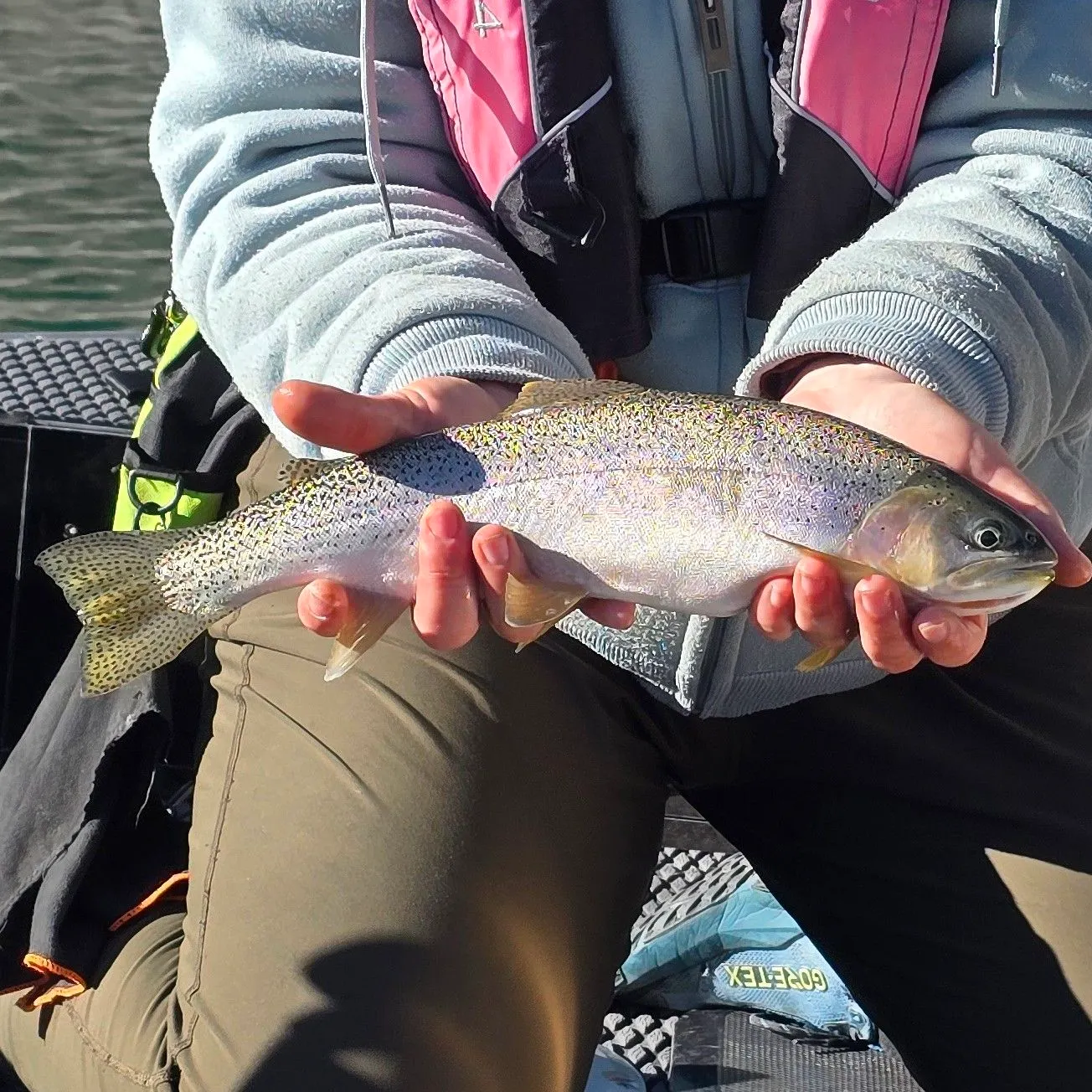 The most recent Cutthroat trout catches on Fishbrain