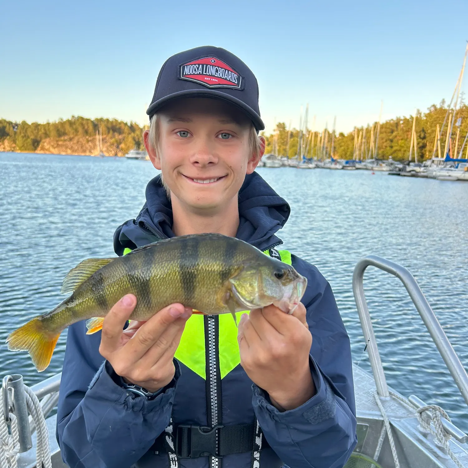 European perch caught on Fishbrain