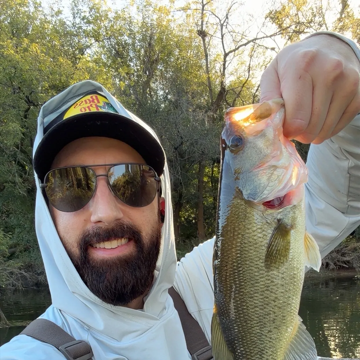 Largemouth bass caught on Fishbrain