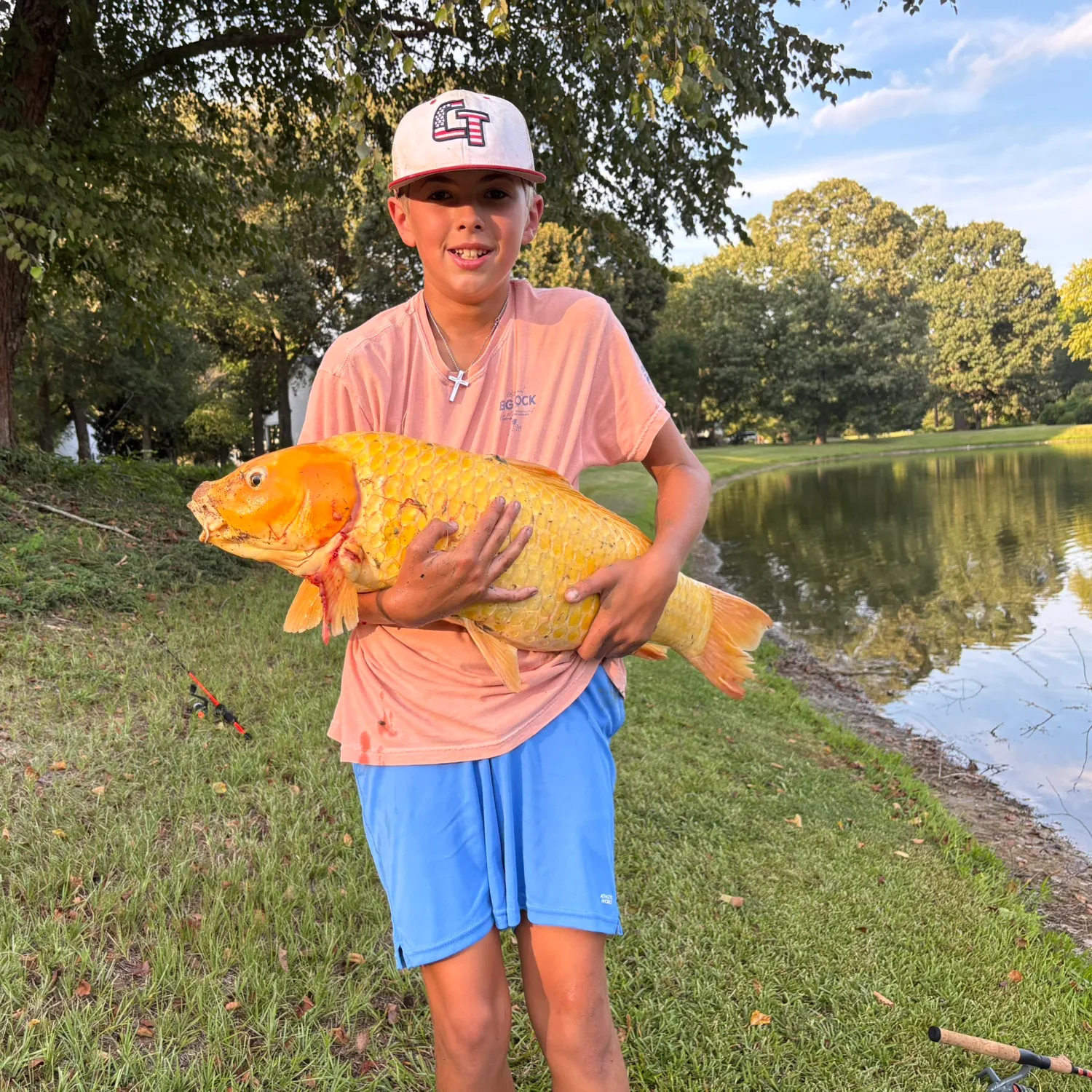 Koi carp caught on Fishbrain