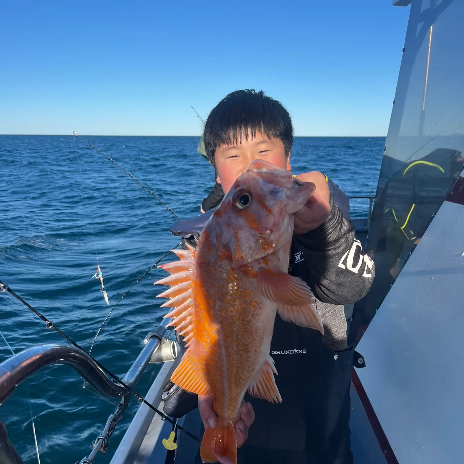 The most recent Canary rockfish catches on Fishbrain