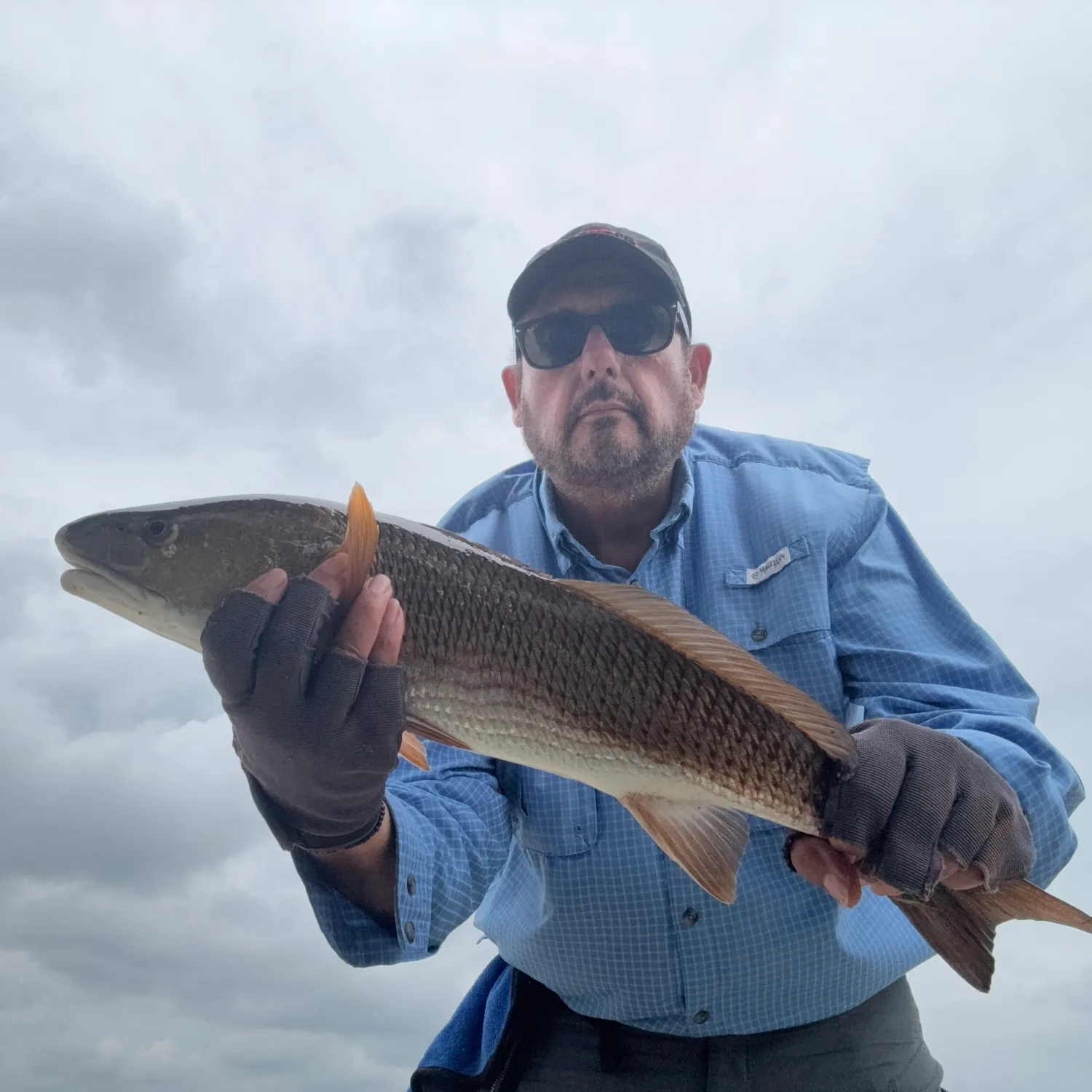 Red drum caught on Fishbrain