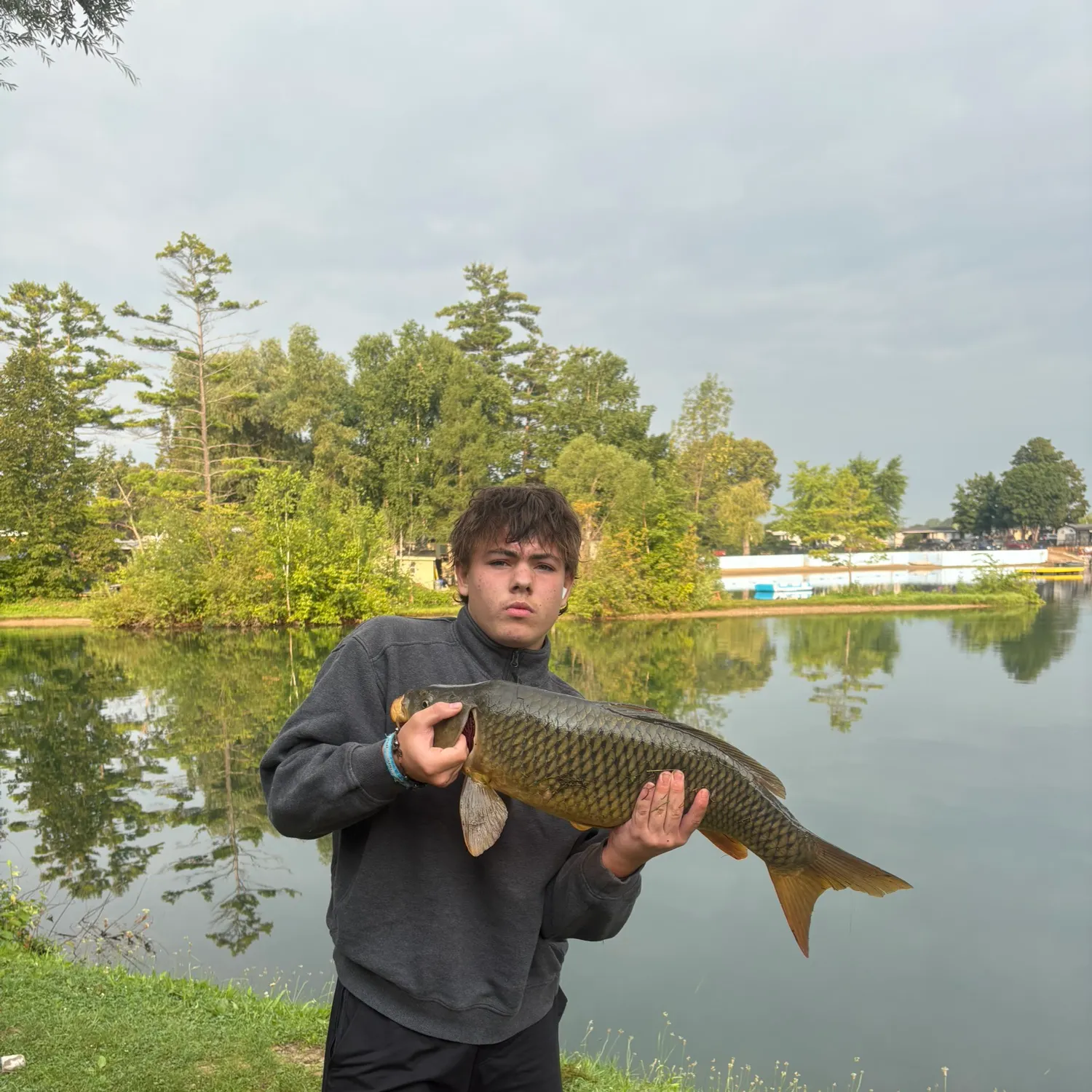 Common carp caught on Fishbrain