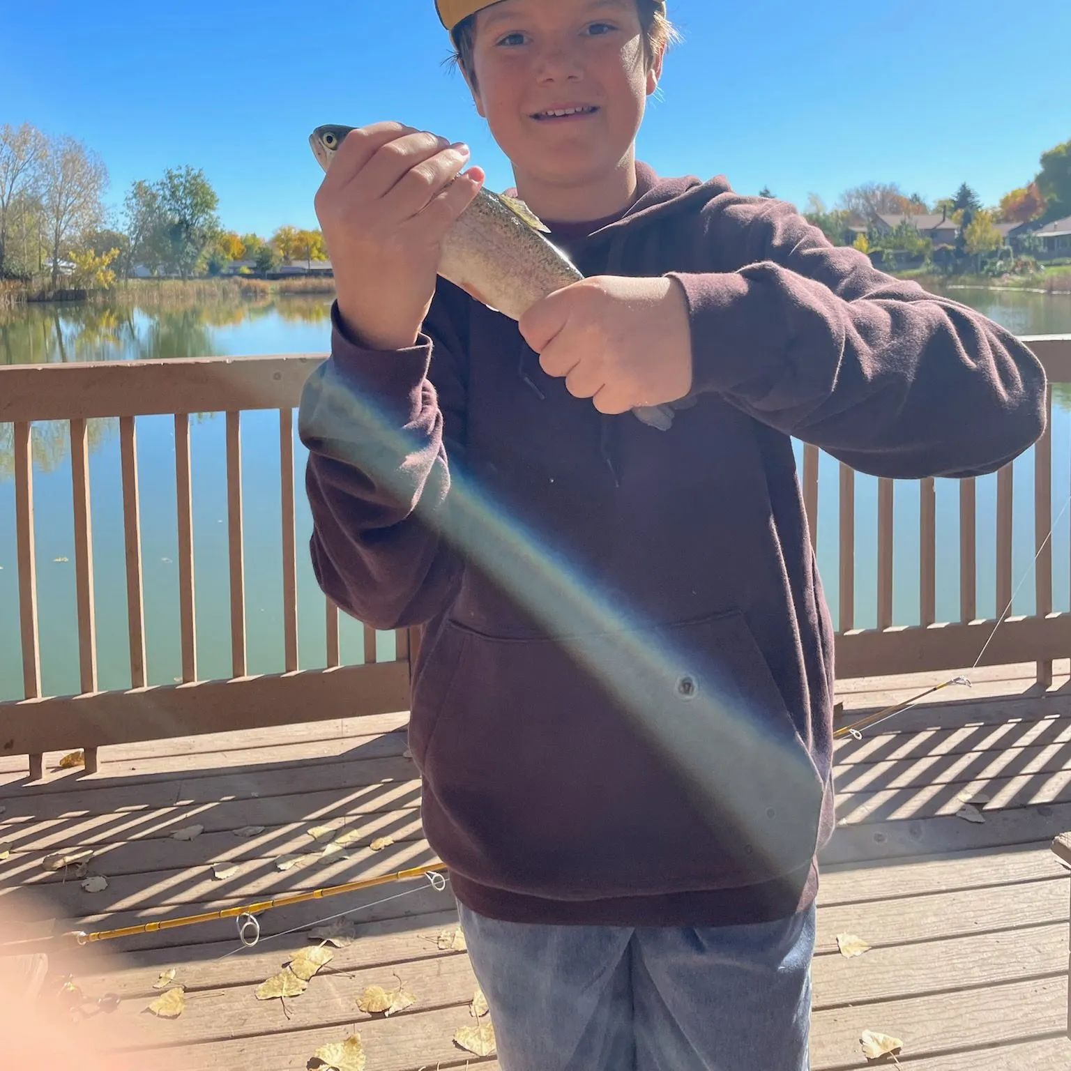 Rainbow trout caught on Fishbrain
