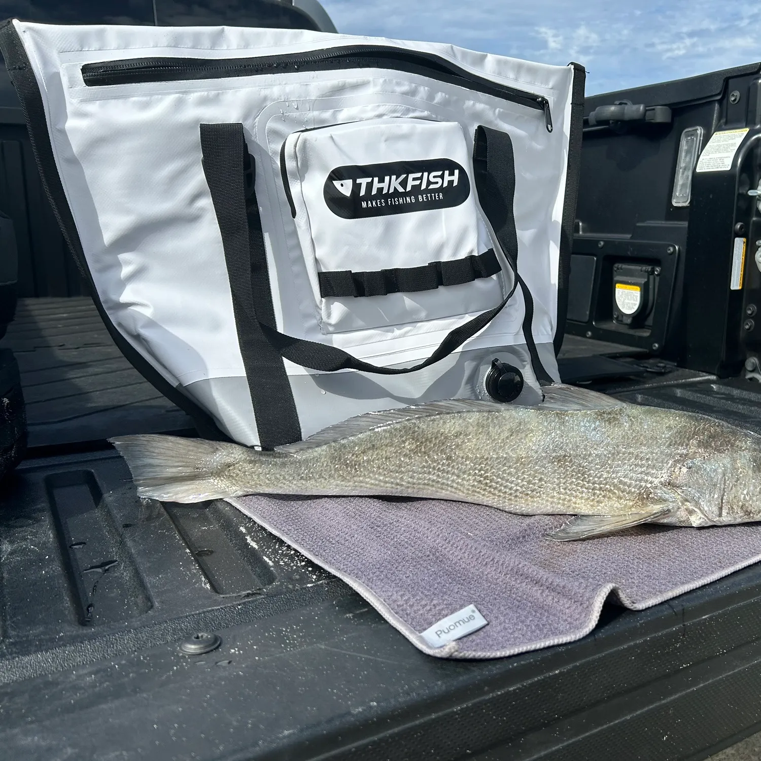 The most recent California corbina catches on Fishbrain