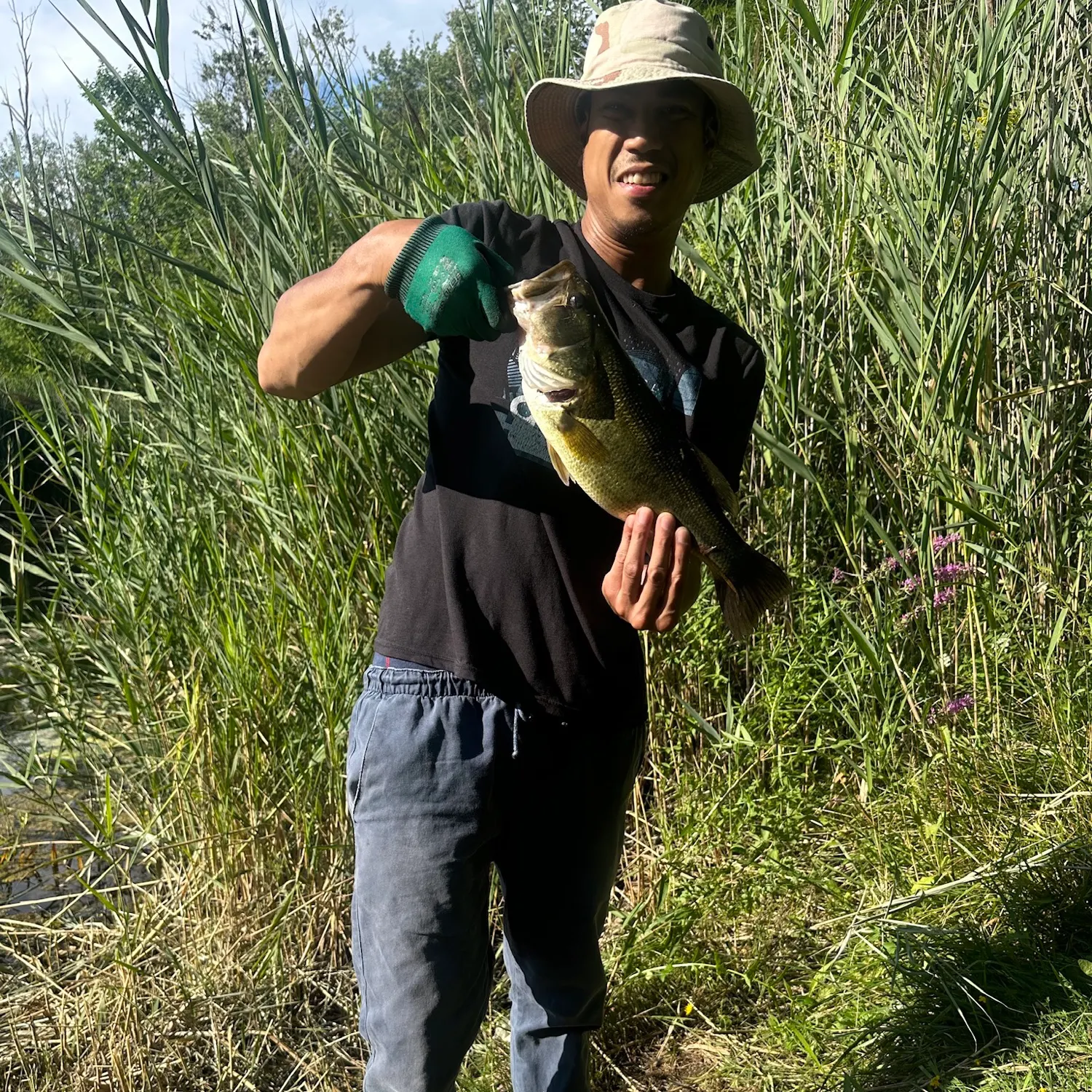Largemouth bass caught on Fishbrain