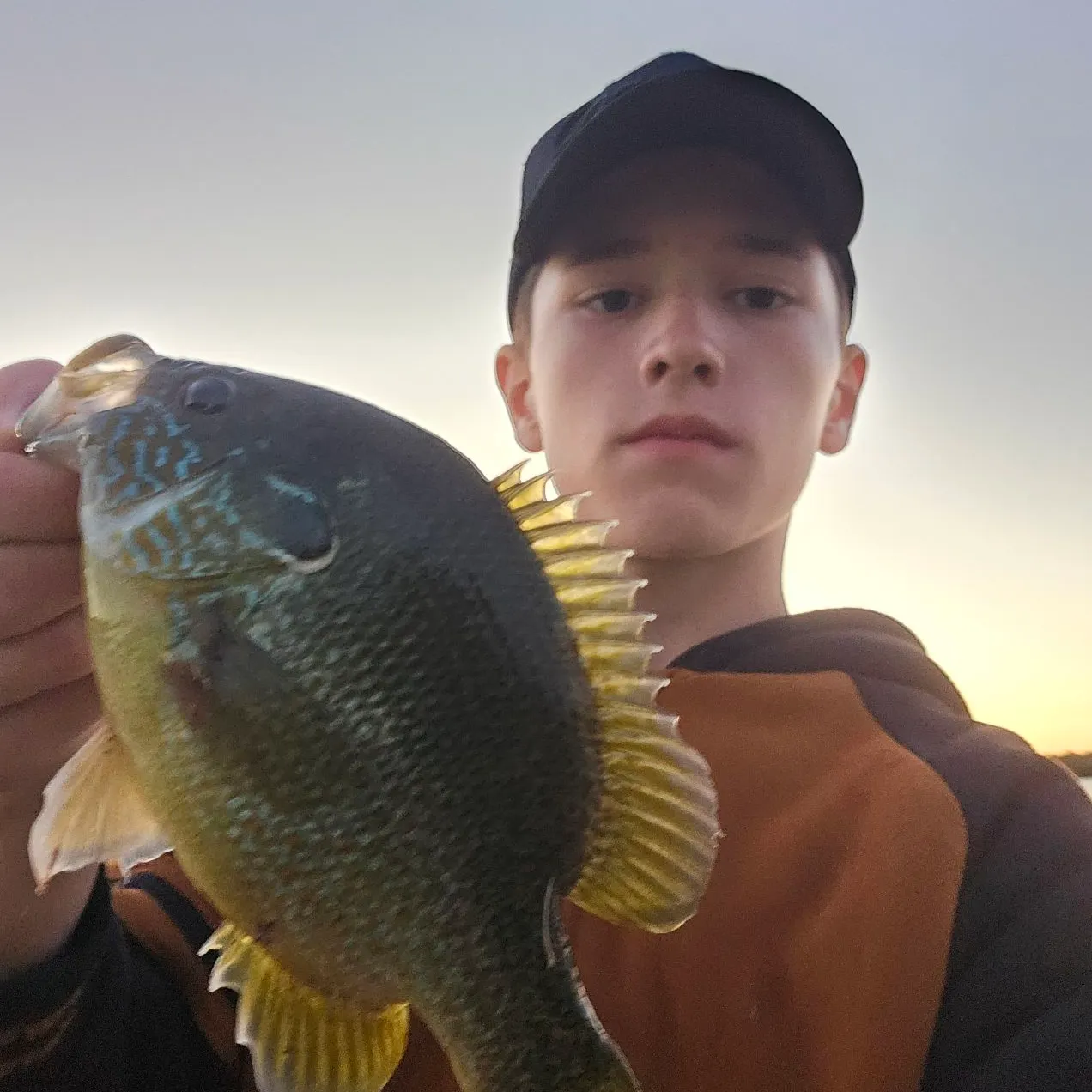 Greengill hybrid caught on Fishbrain