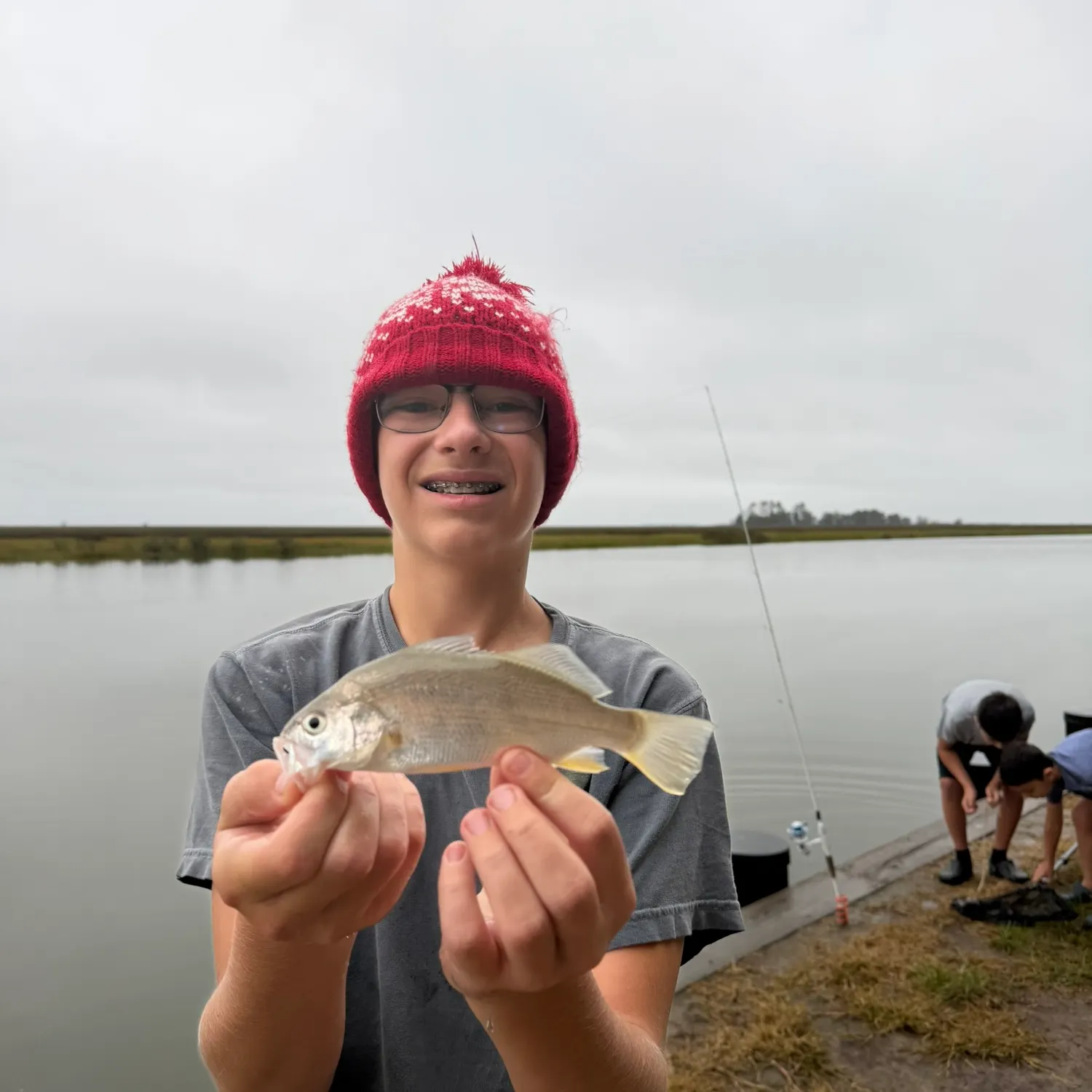 Silver perch caught on Fishbrain