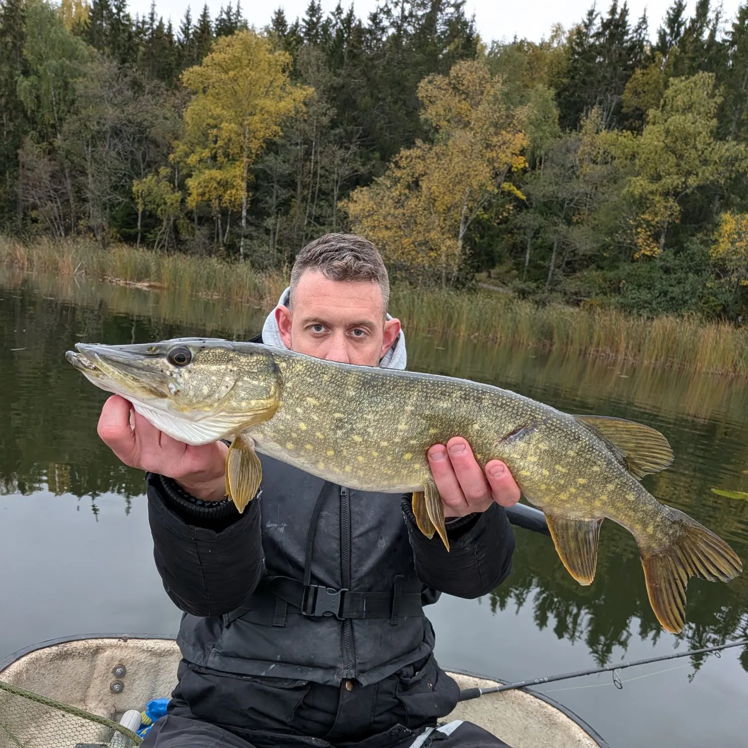 Northern pike caught on Fishbrain