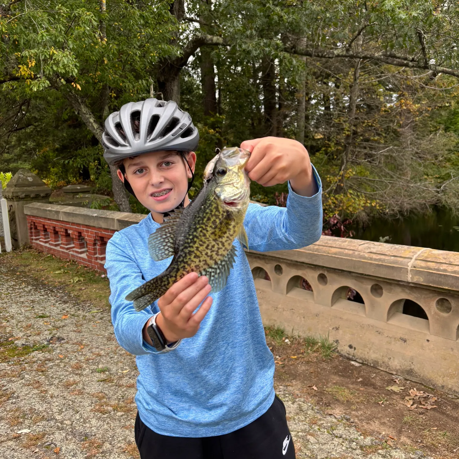Black crappie caught on Fishbrain