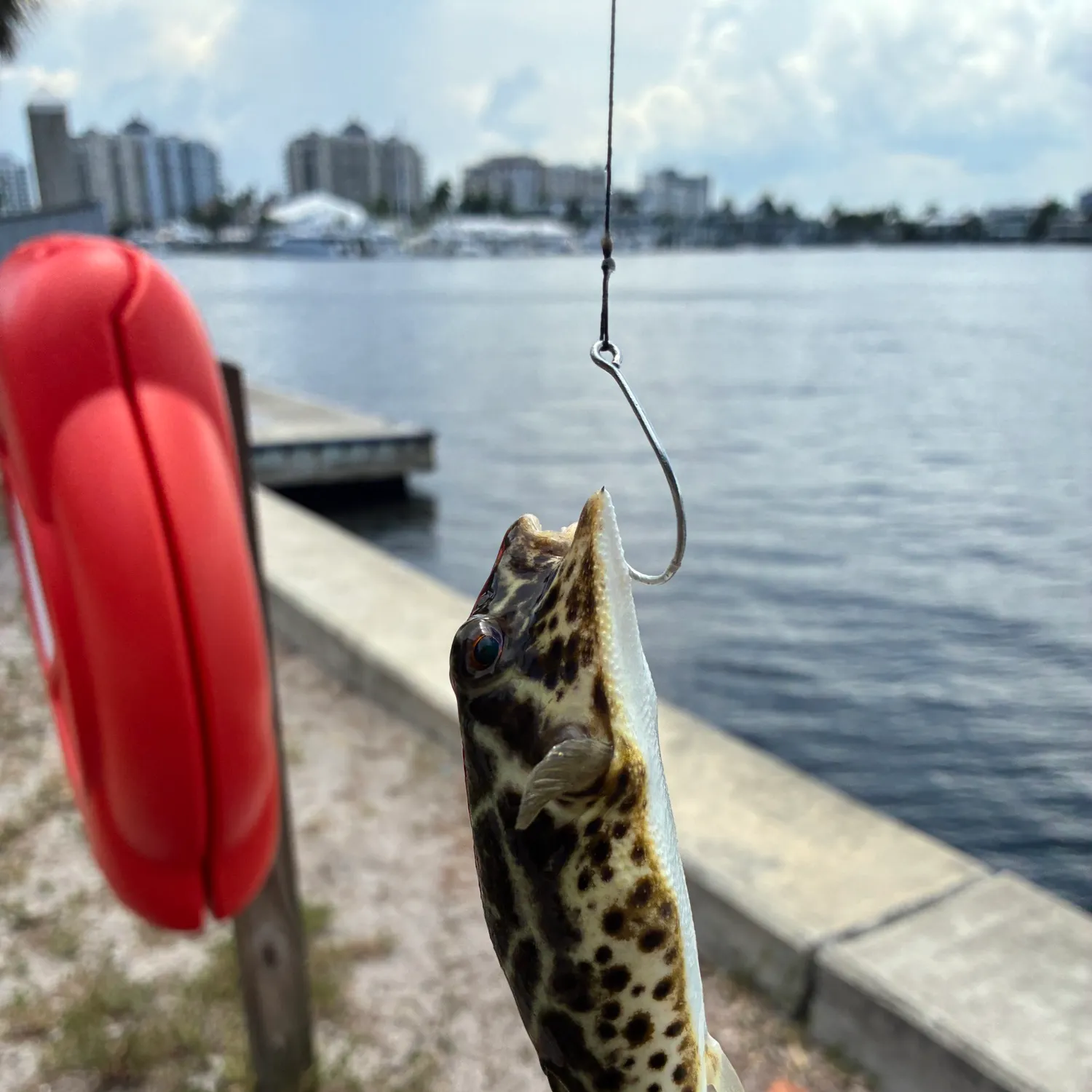 catch