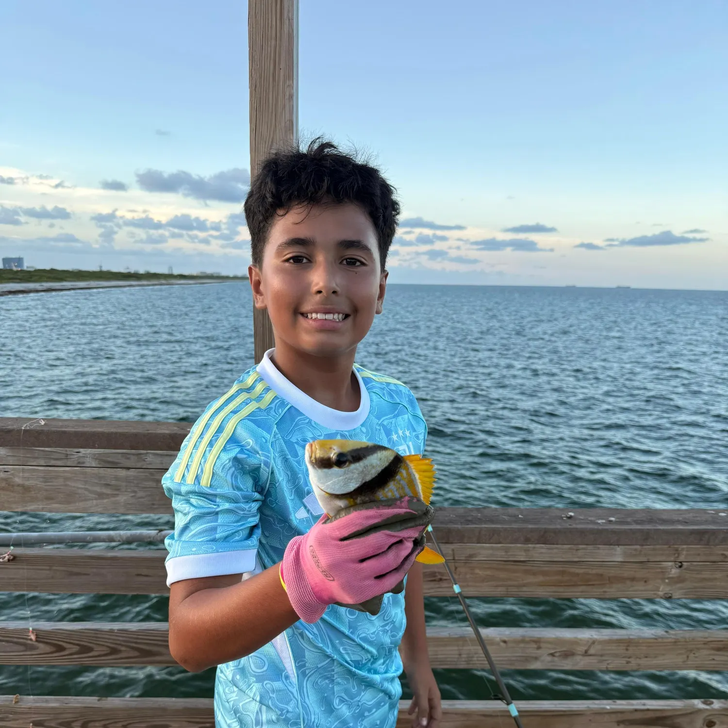 Atlantic porkfish caught on Fishbrain