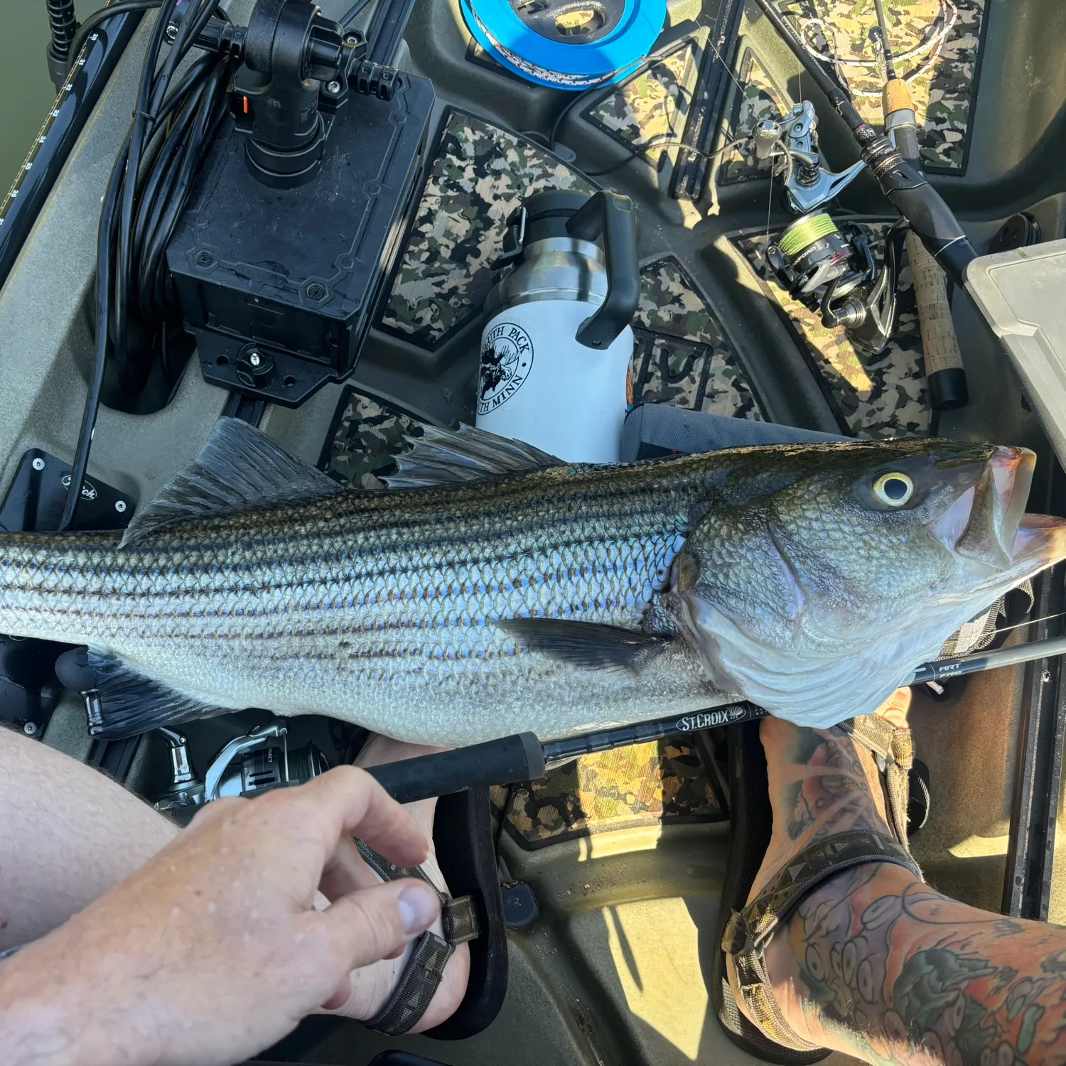 recently logged catches