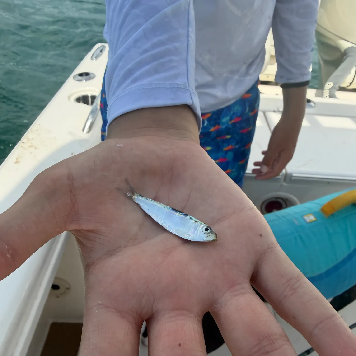The most recent Sixfinger threadfin catches on Fishbrain