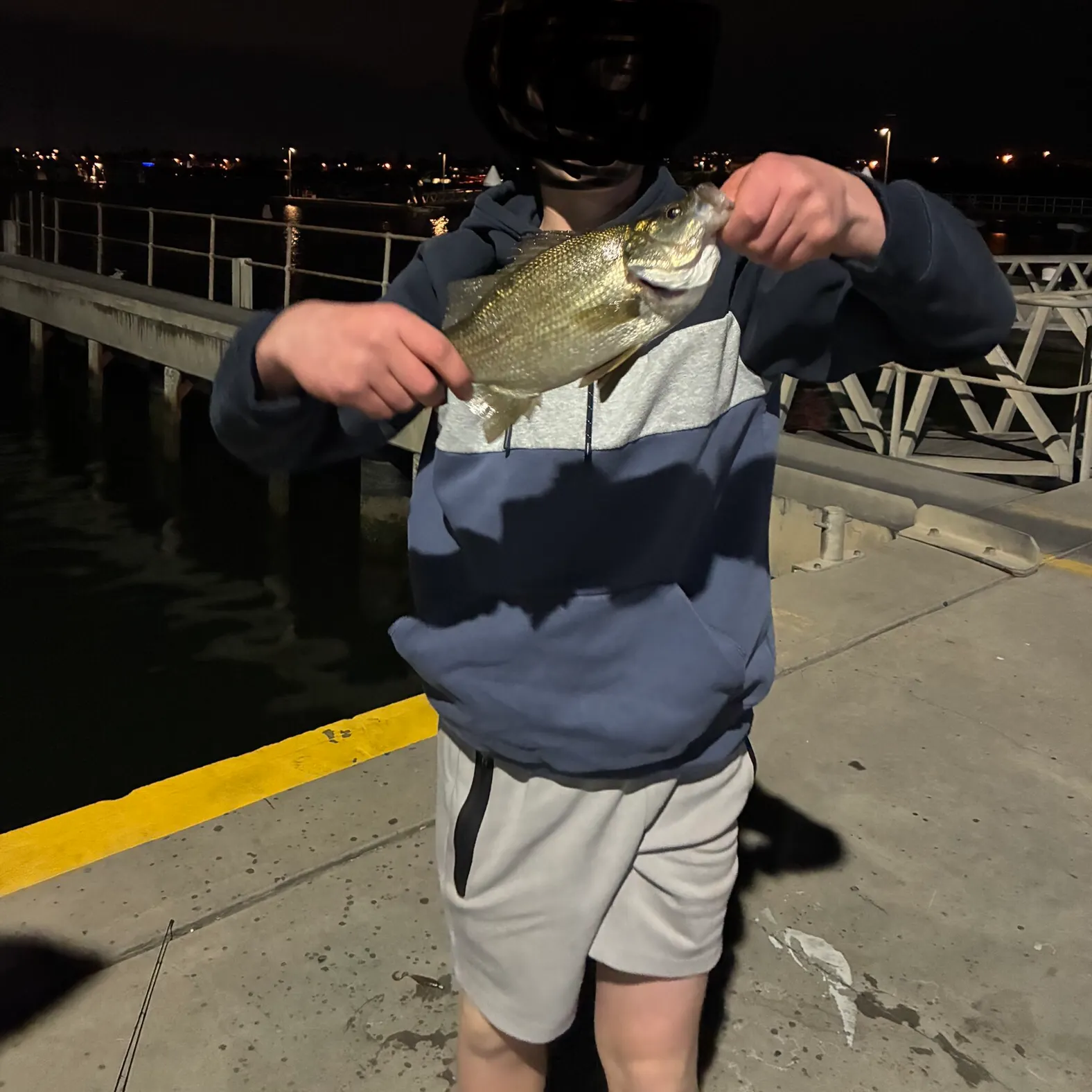 The most recent Estuary perch catches on Fishbrain