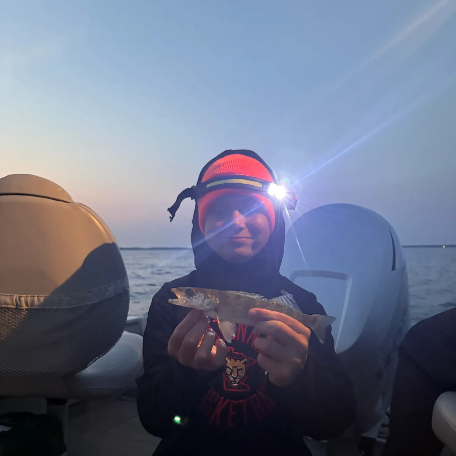The most recent Sauger catches on Fishbrain