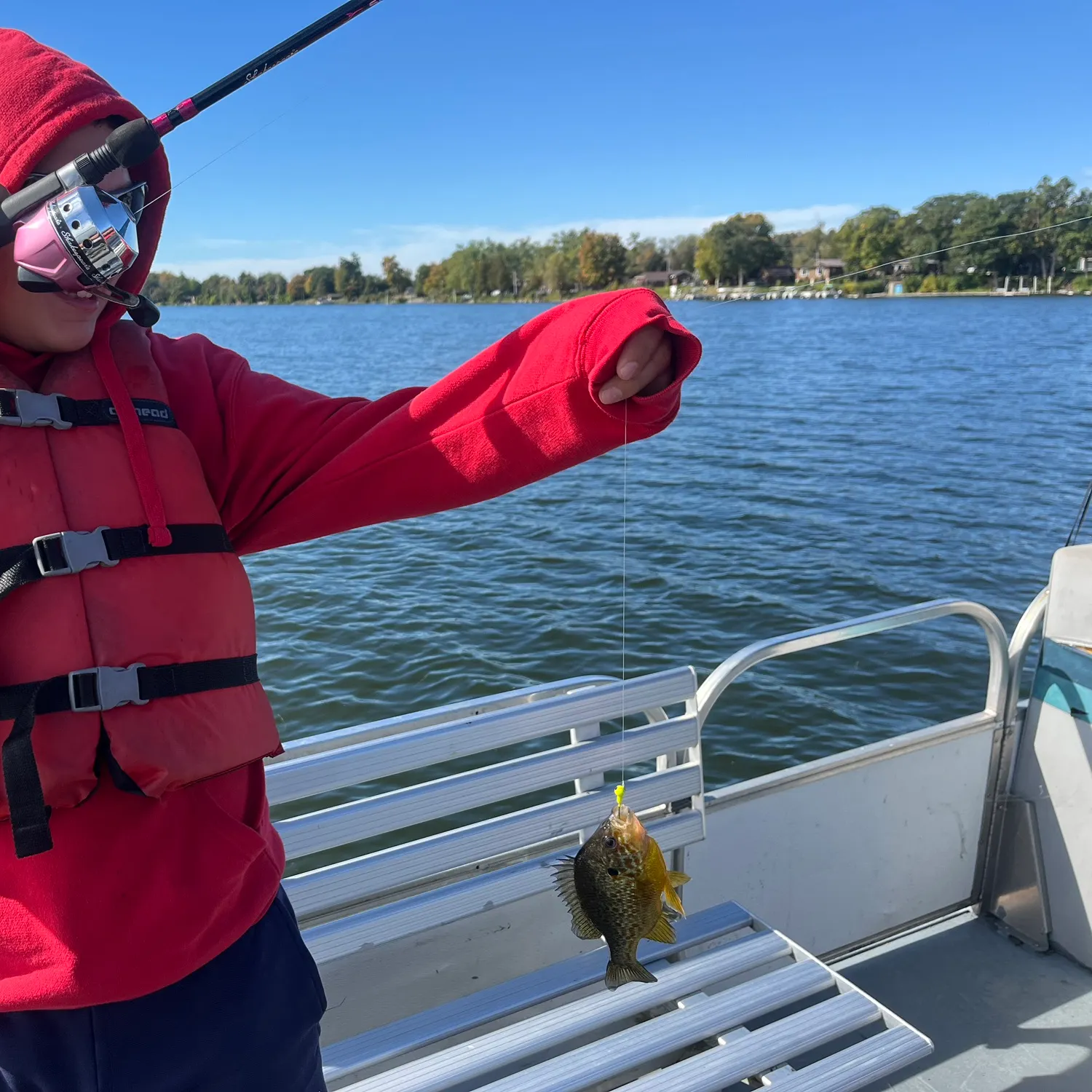 Bluegill caught on Fishbrain
