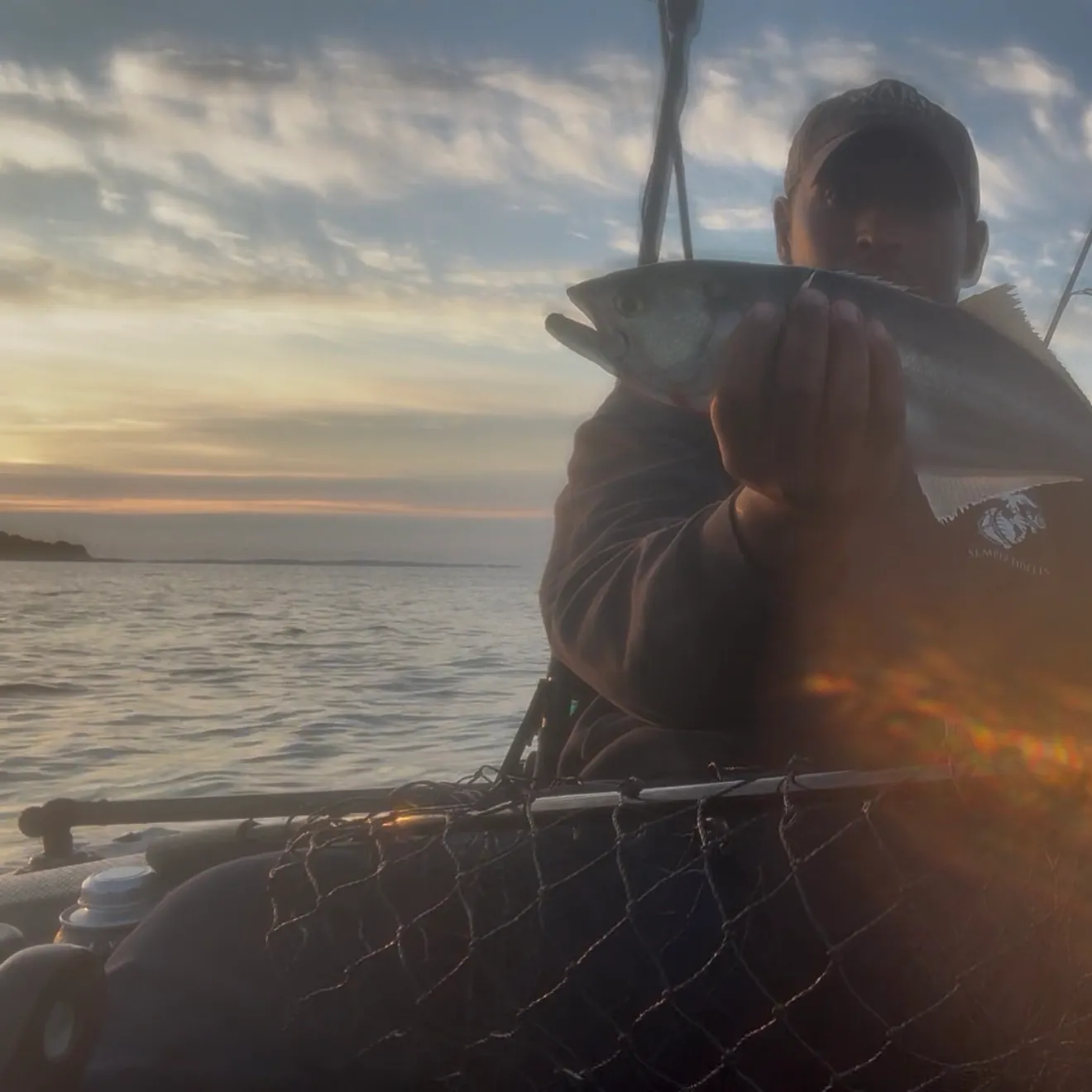 Bluefish caught on Fishbrain