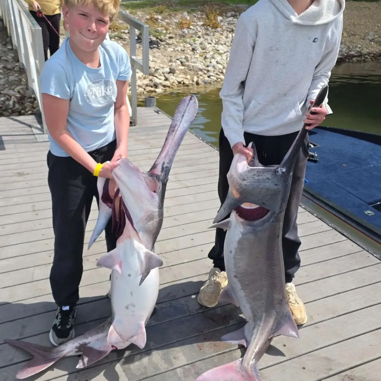 The most recent Paddlefish catches on Fishbrain